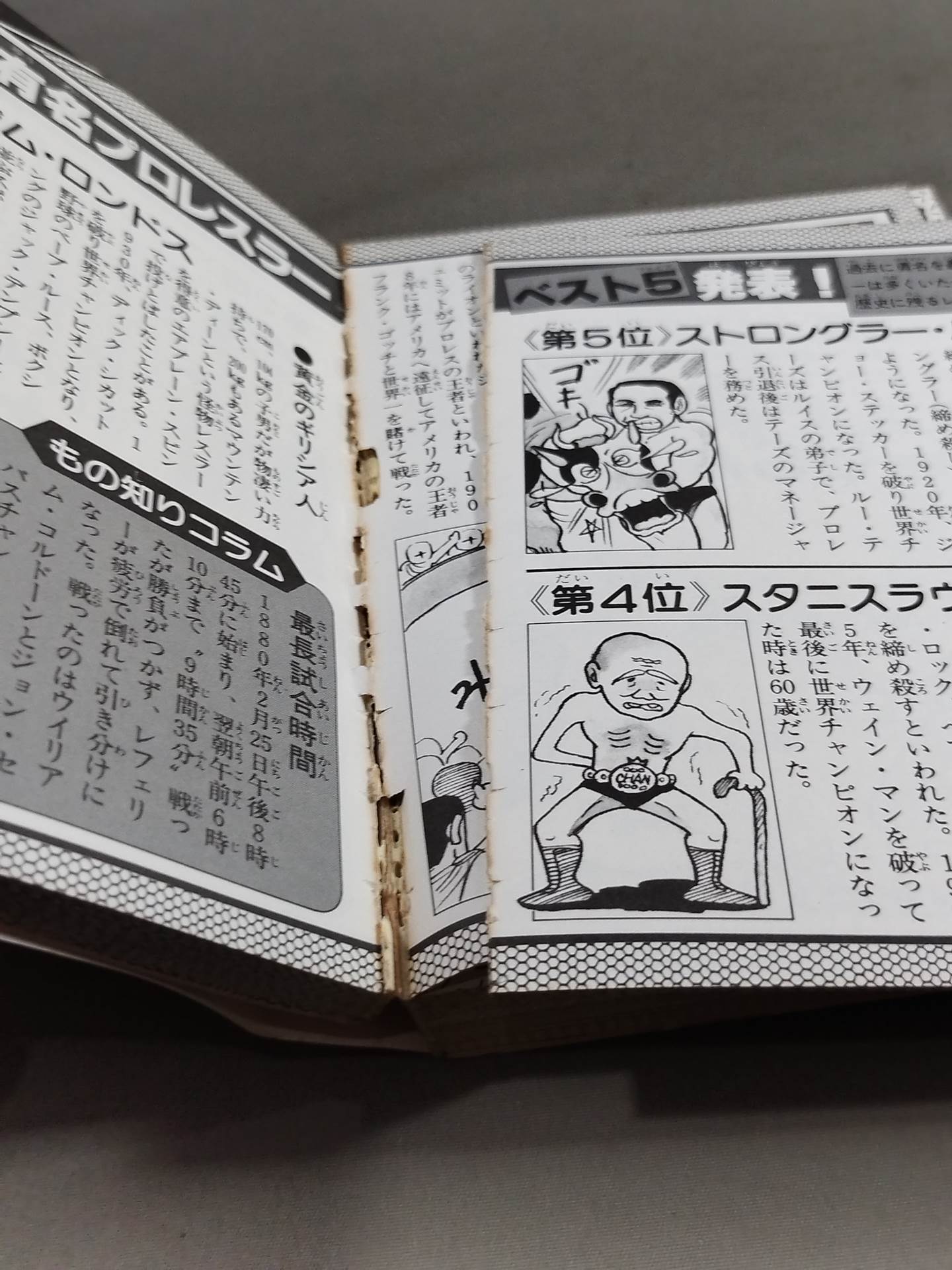 Pro Wrestling  Encyclopedia / From wrestlers to special moves, All about Pro Wrestling!
