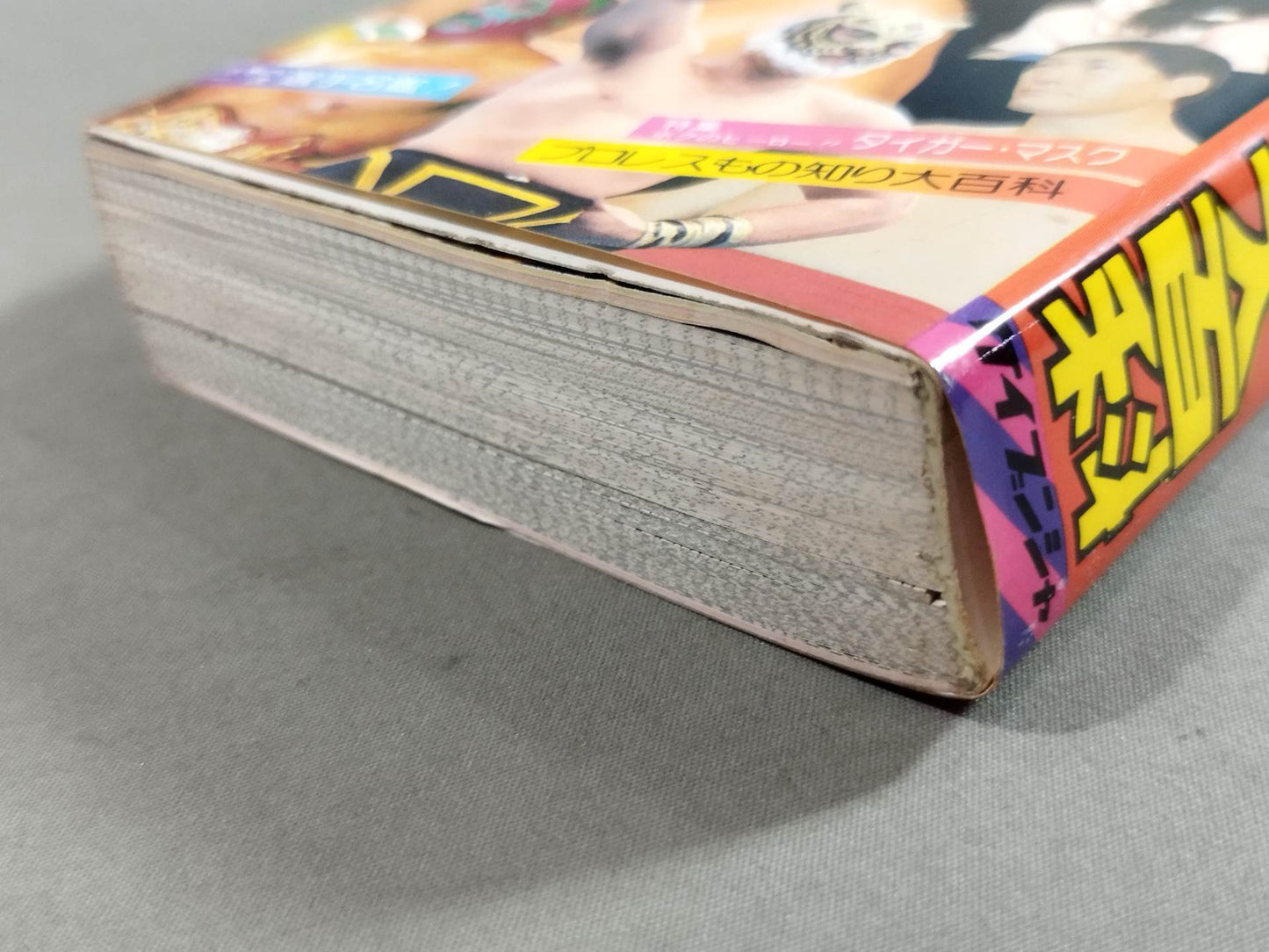 Pro Wrestling  Encyclopedia / From wrestlers to special moves, All about Pro Wrestling!