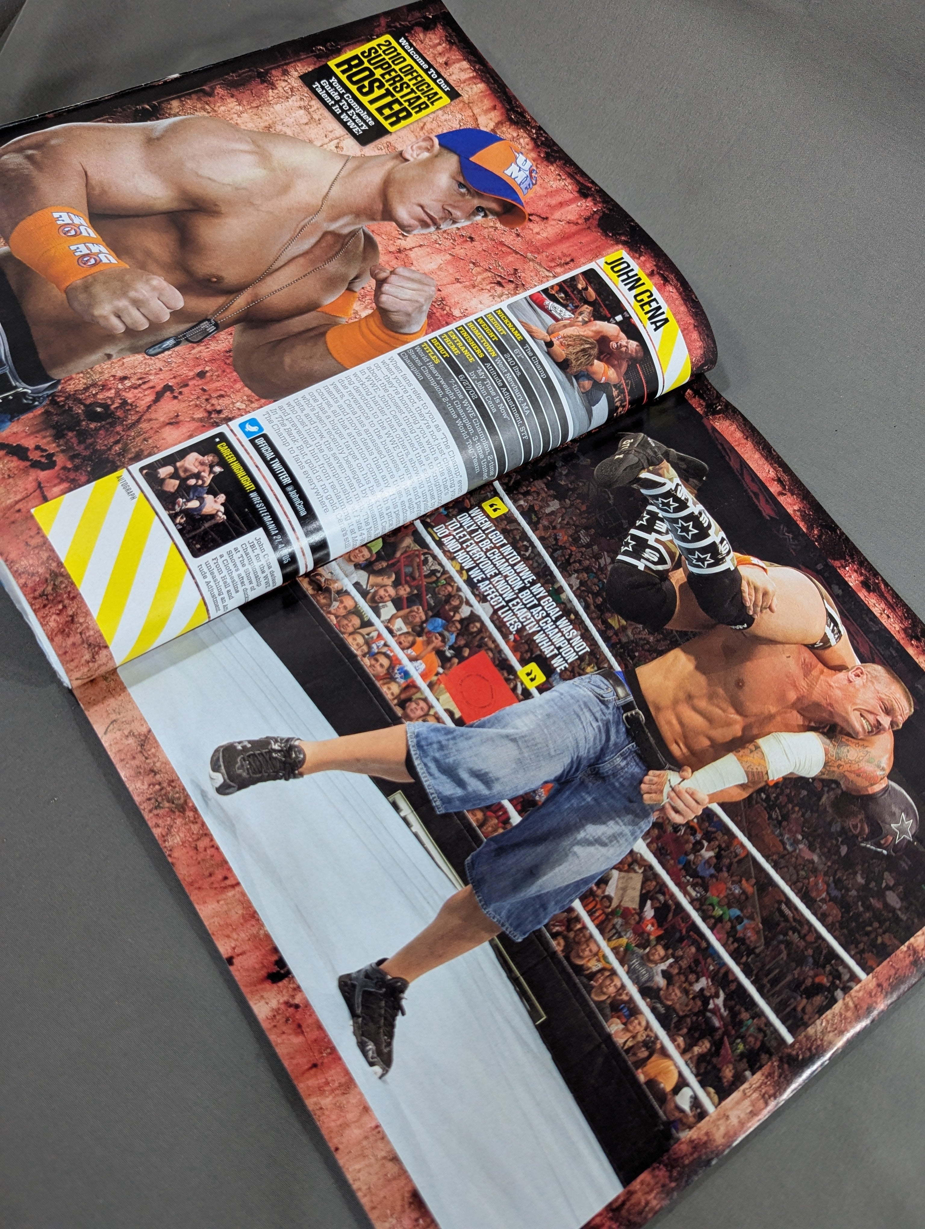 WWE SUPERSTAR YEARBOOK OFFICIAL ROSTER – 闘道館