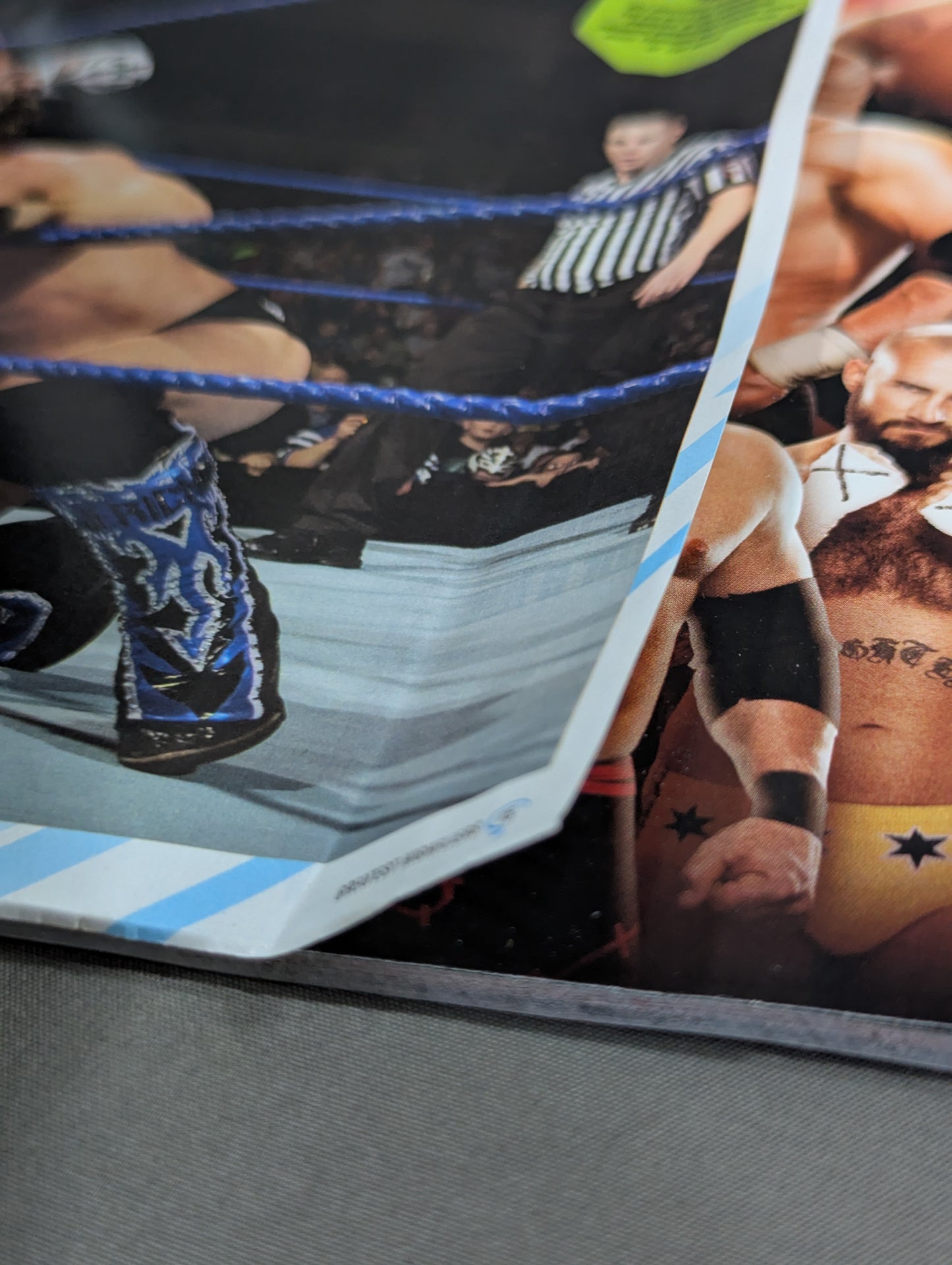 WWE SUPERSTAR YEARBOOK OFFICIAL ROSTER