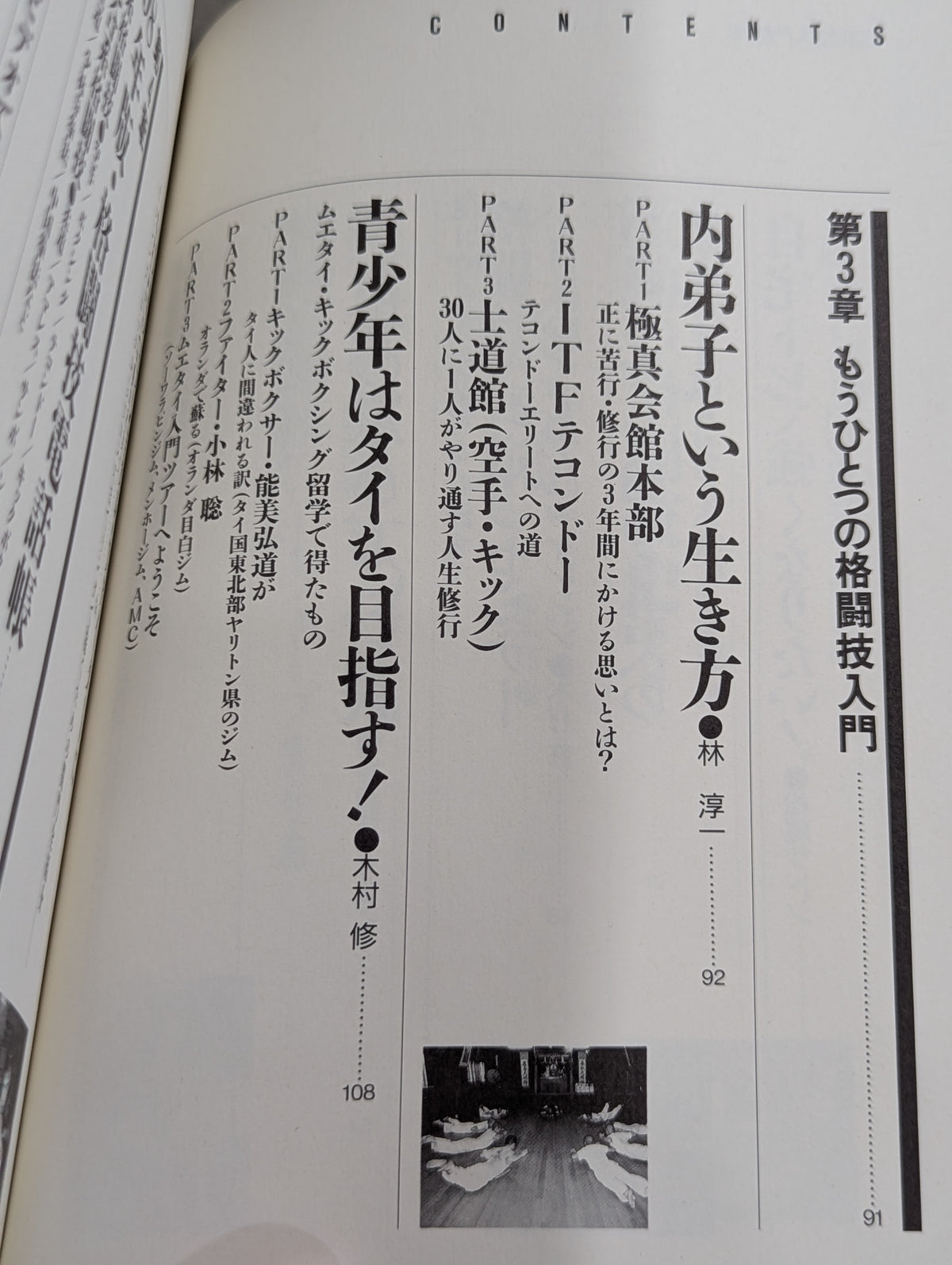 格闘王1 【改訂版】格闘技入門読本