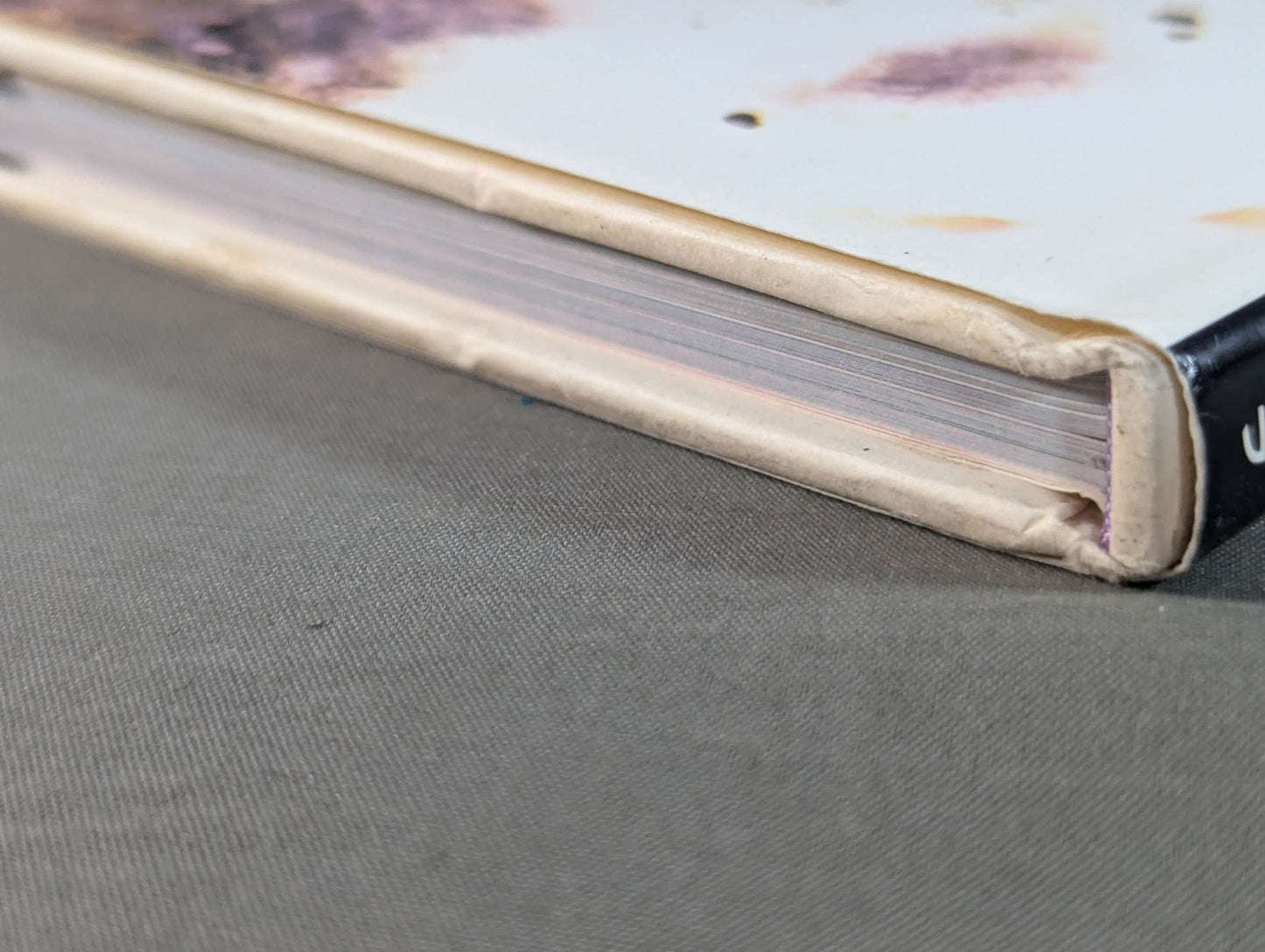 Takako Inoue photo  collection "Vertiges"