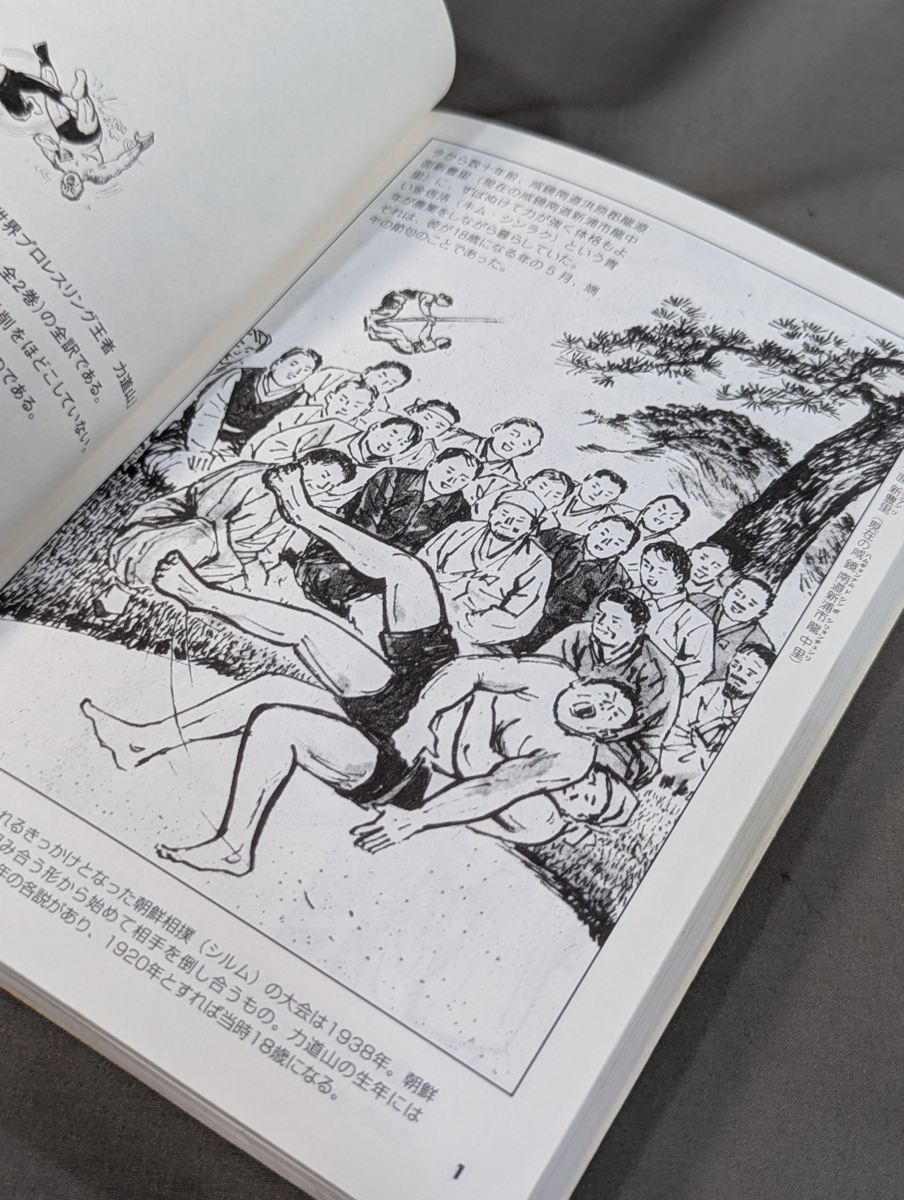 北朝鮮版 力道山物語 – 闘道館