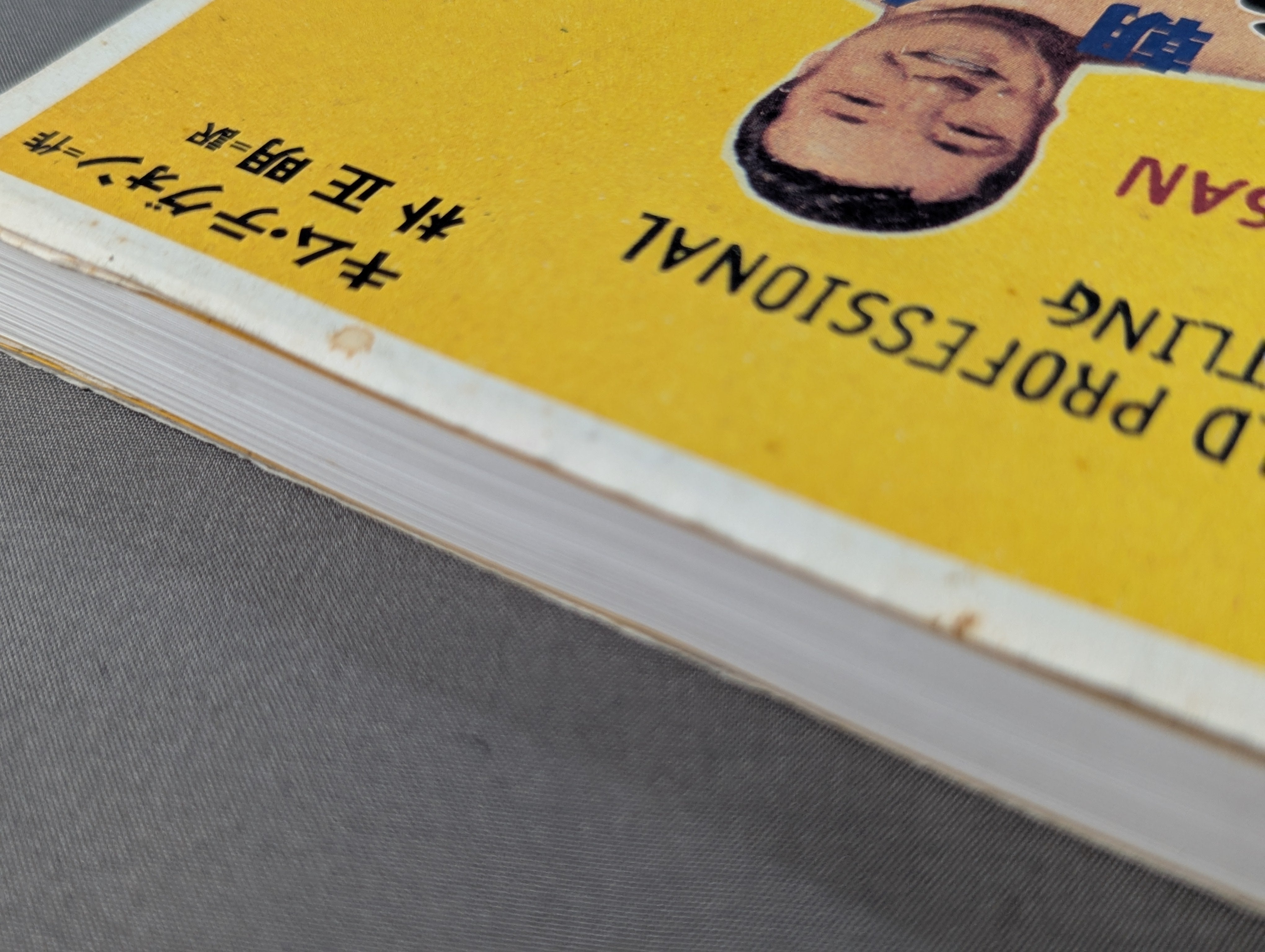 北朝鮮版 力道山物語 – 闘道館