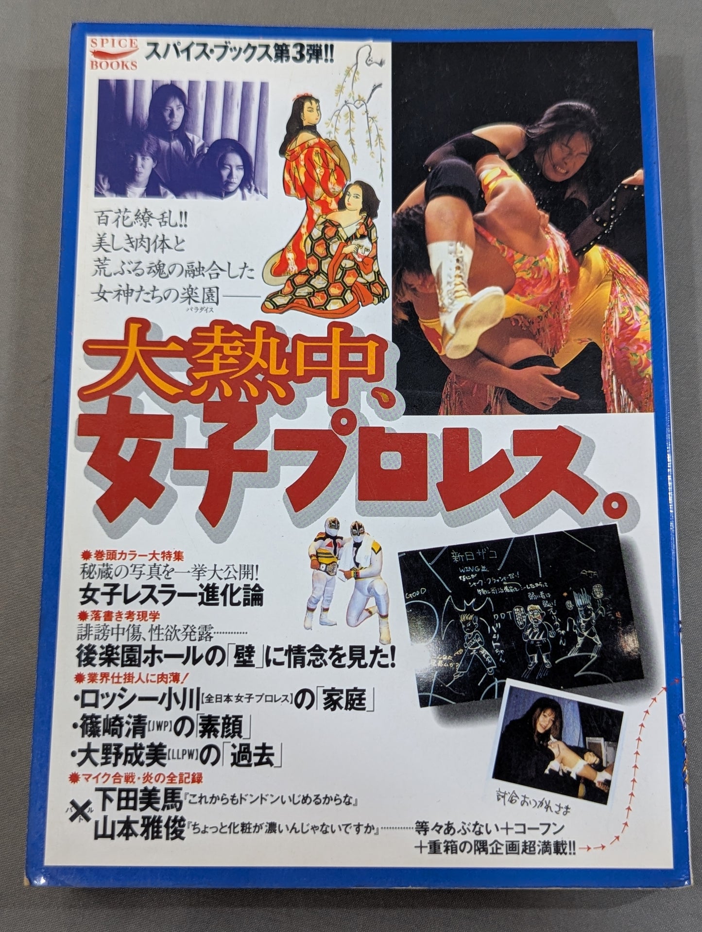 大熱中､女子プロレス。