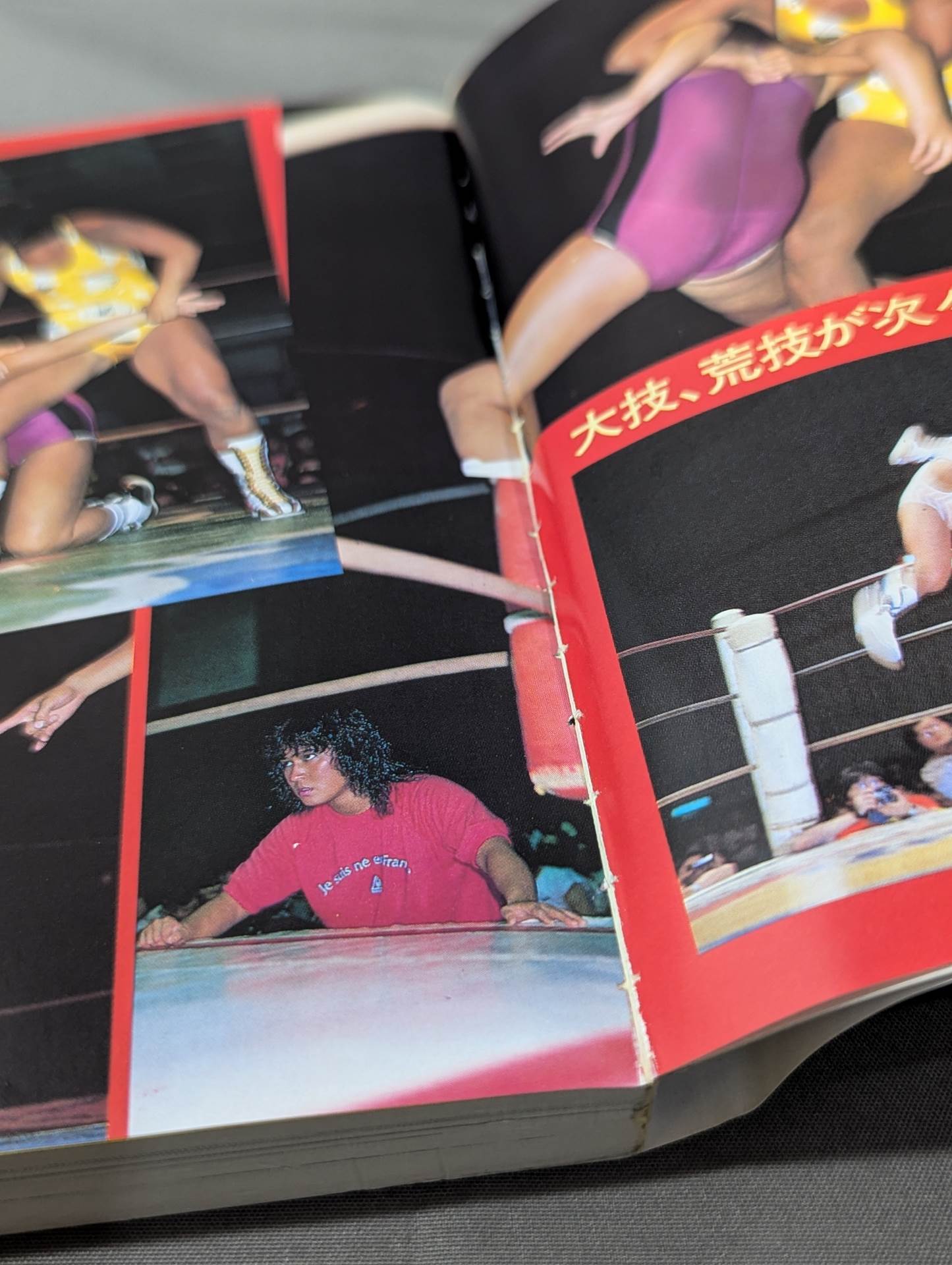 怒れ!チャンピオン おもしろすぎるぞ!女子プロレス