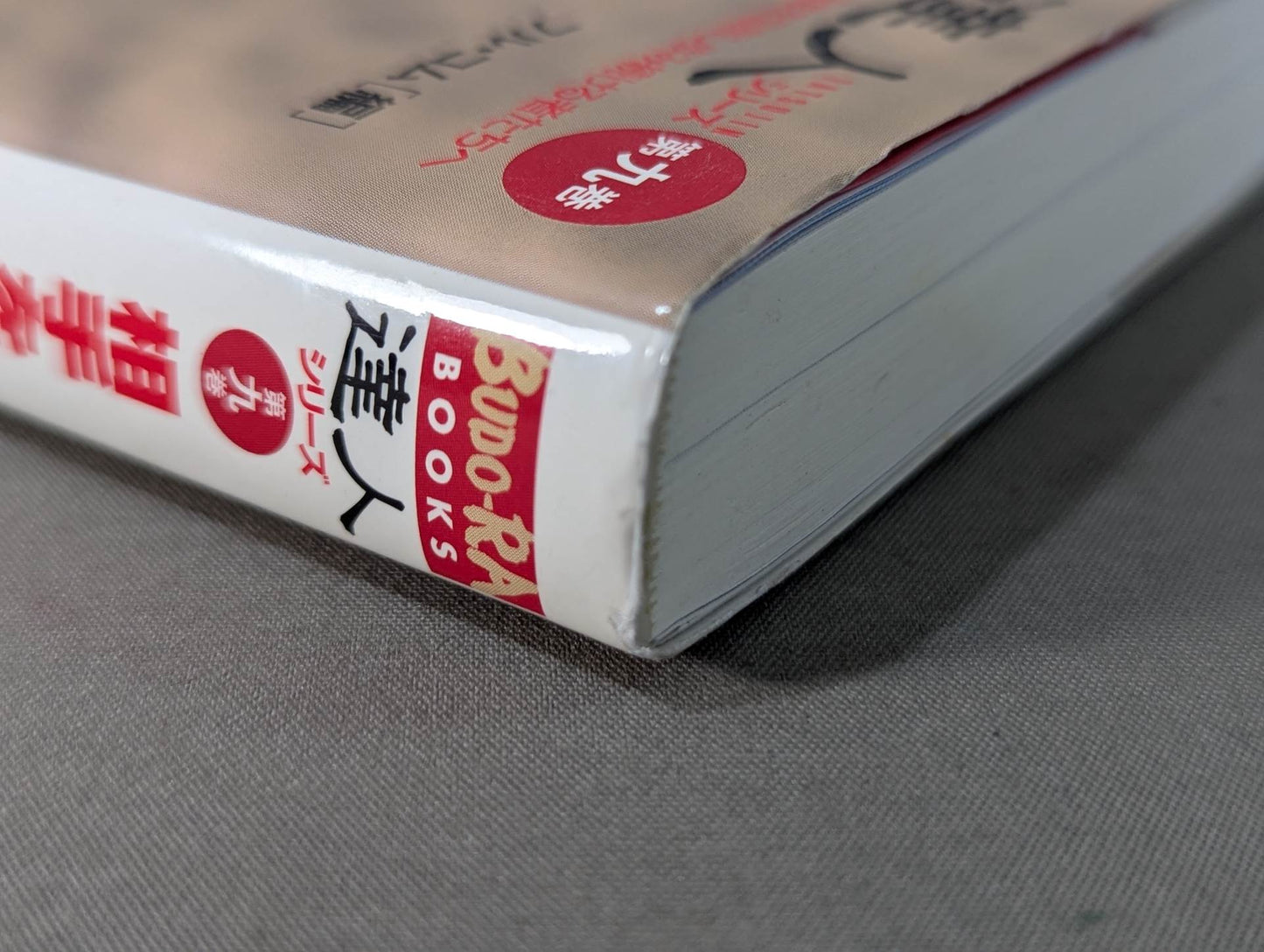 【DVD付】達人シリース第九巻 相手を3秒で倒す技50! テイクダウン大全