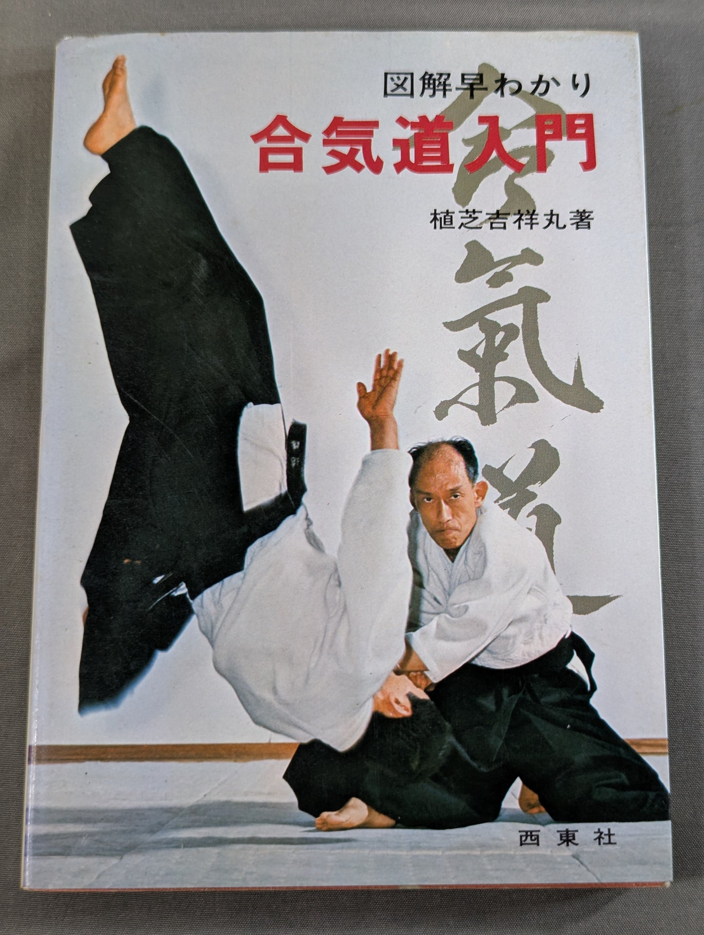 Quick Guide to Aikido: Introduction to Aikido