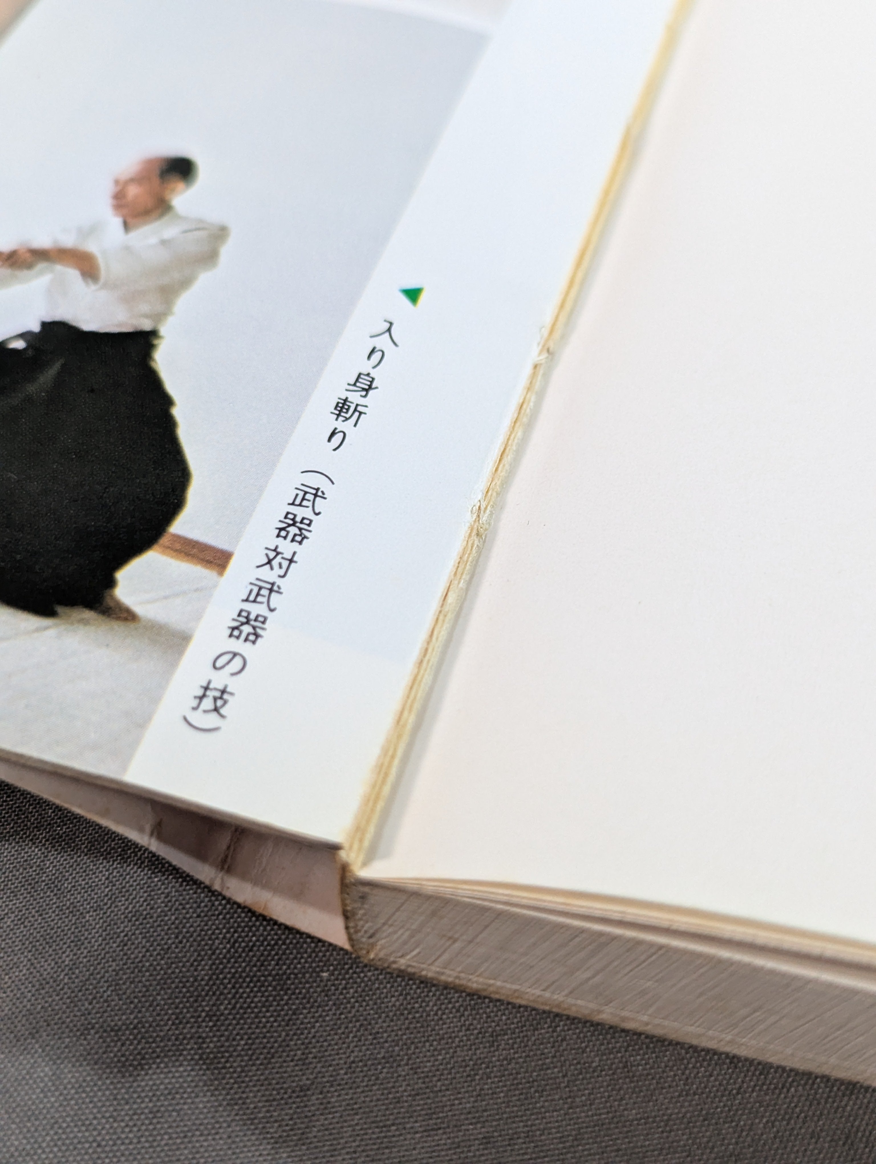 図解早わかり 合気道入門 – 闘道館