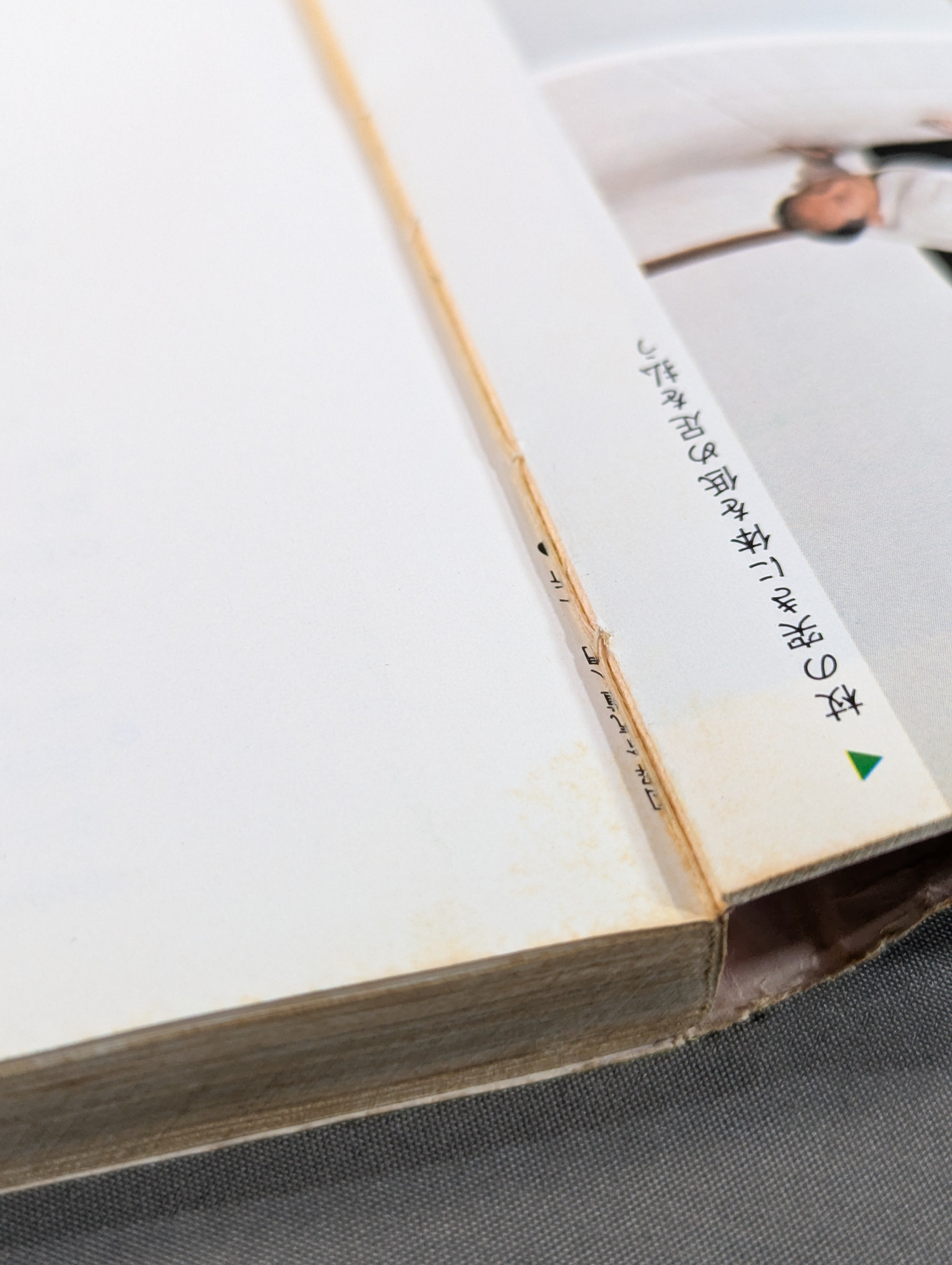 図解早わかり 合気道入門 – 闘道館