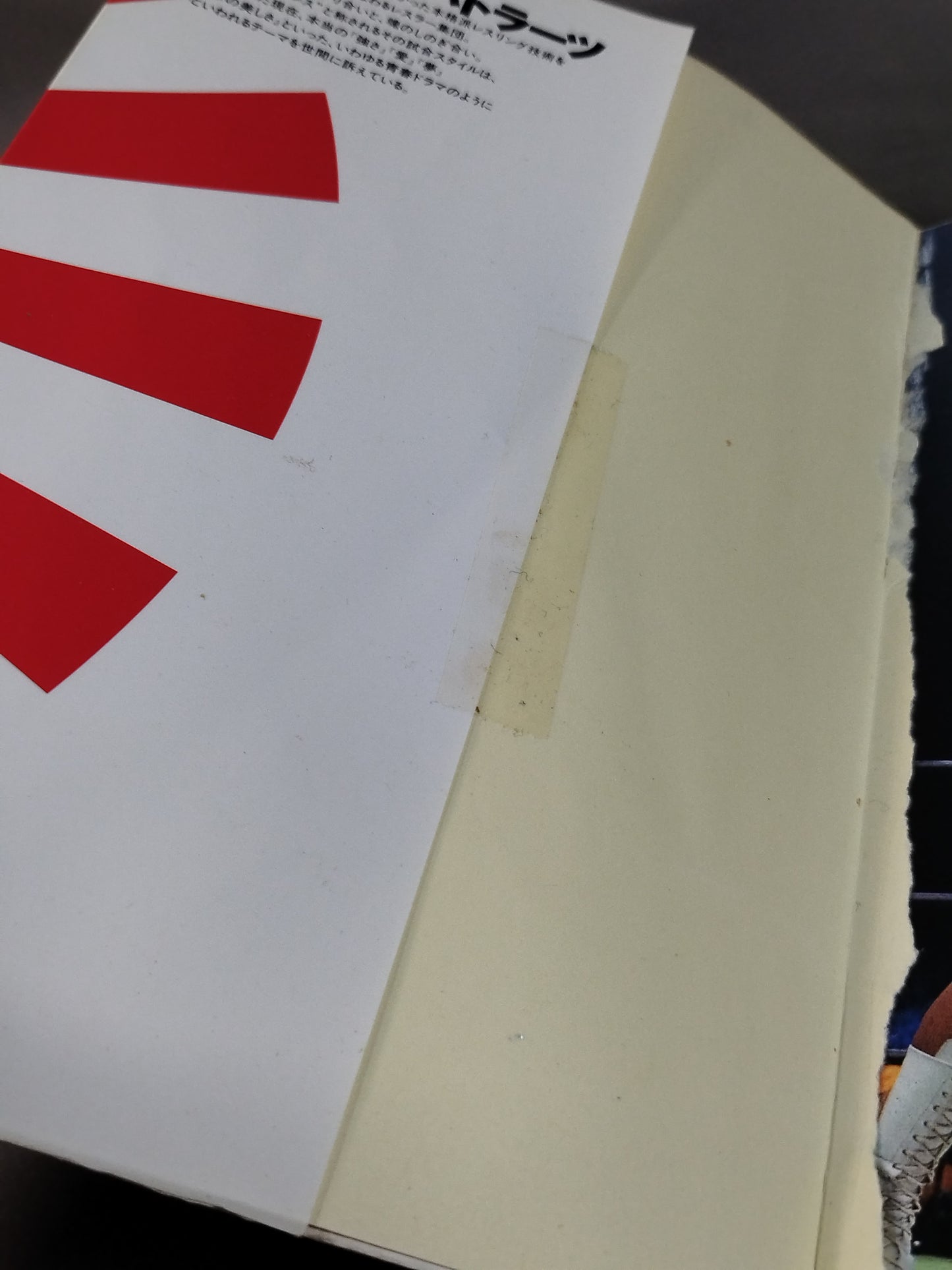 最強のプロレス技読本 完全図解!!必殺のリアル・テクニック