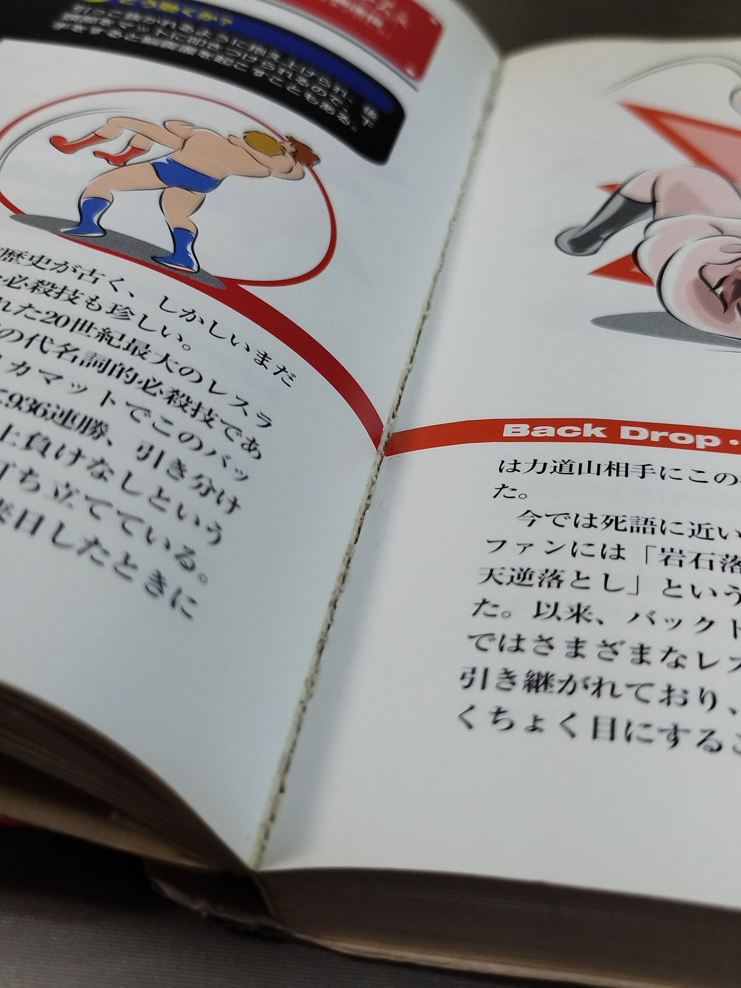 最強のプロレス技読本 完全図解!!必殺のリアル・テクニック