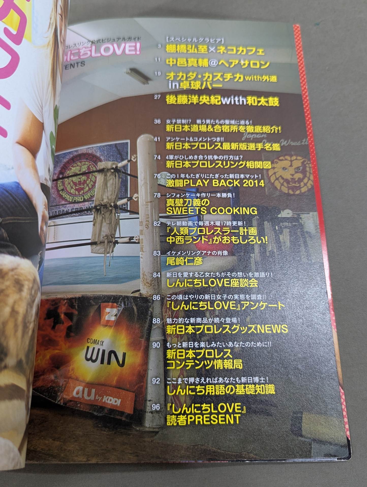 New Japan Pro Wrestling Pro-wrestling  Official Visual Guide Shinnichi LOVE!