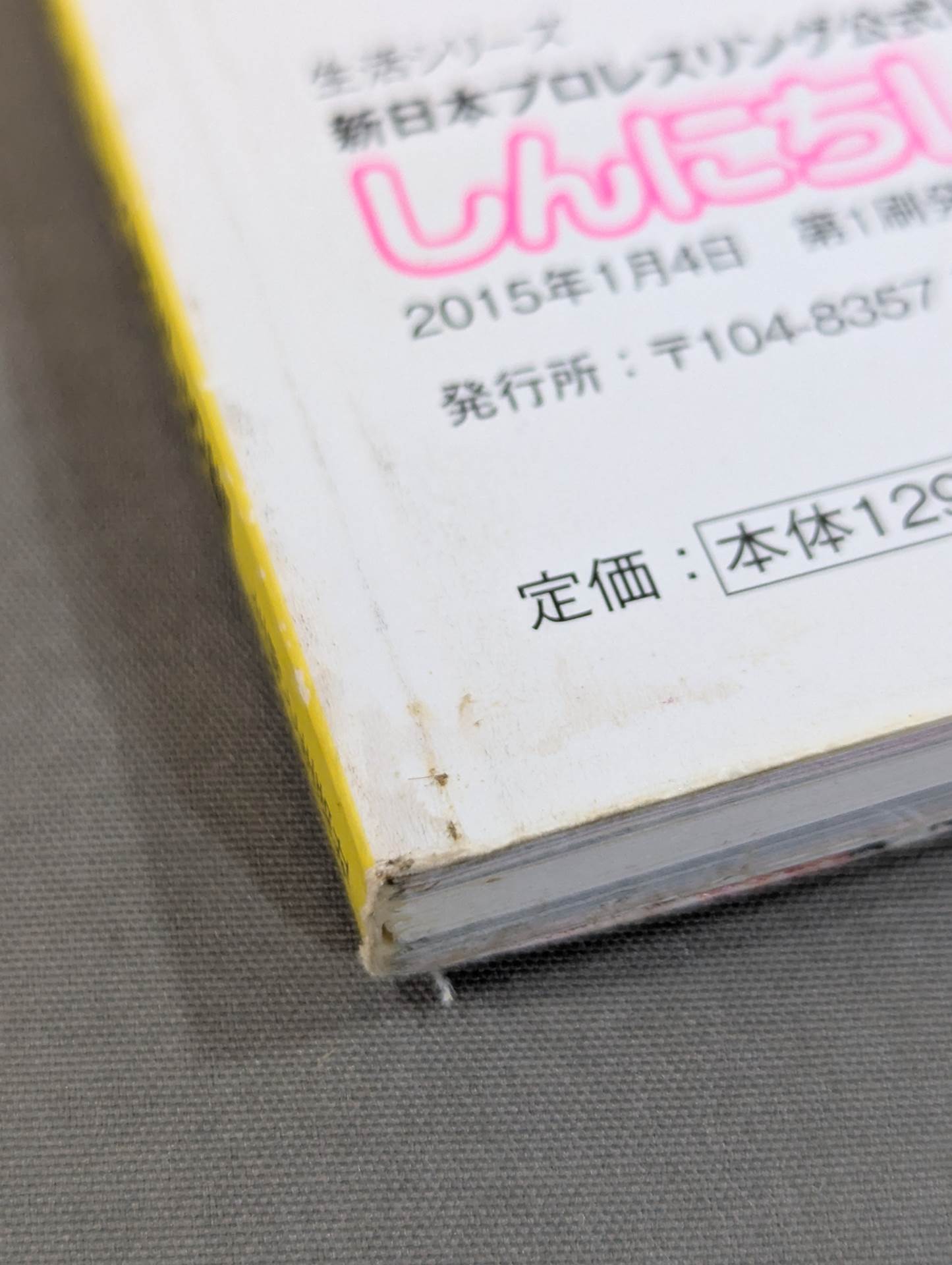 New Japan Pro Wrestling Pro-wrestling  Official Visual Guide Shinnichi LOVE!