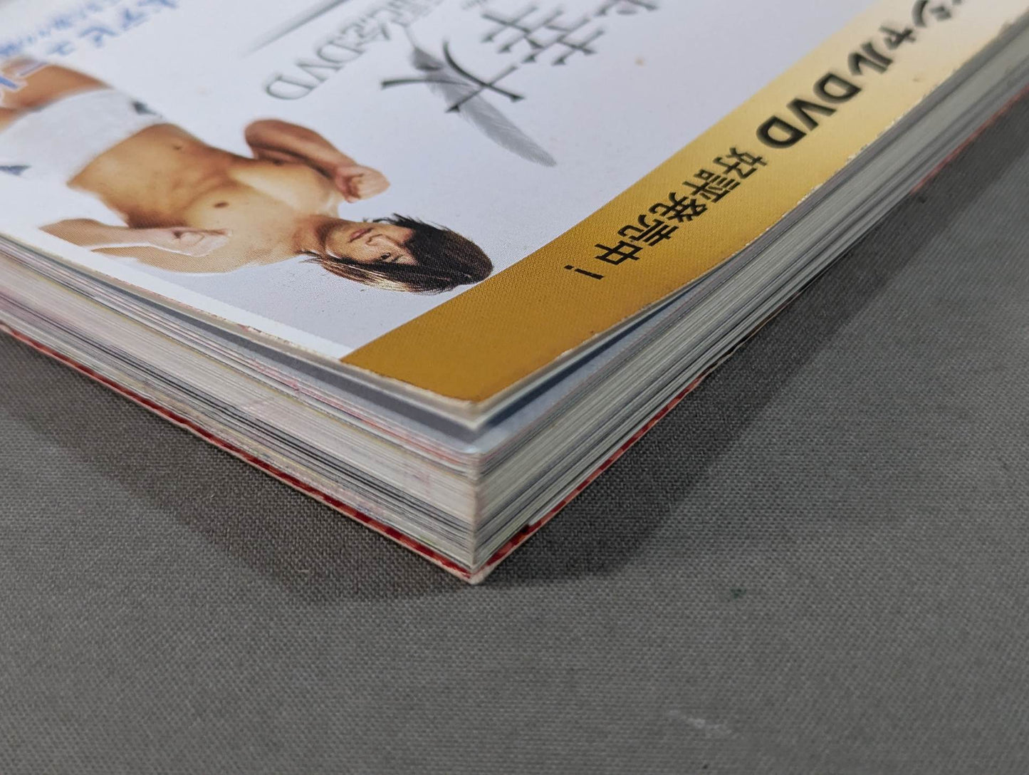 New Japan Pro Wrestling Pro-wrestling  Official Visual Guide Shinnichi LOVE!