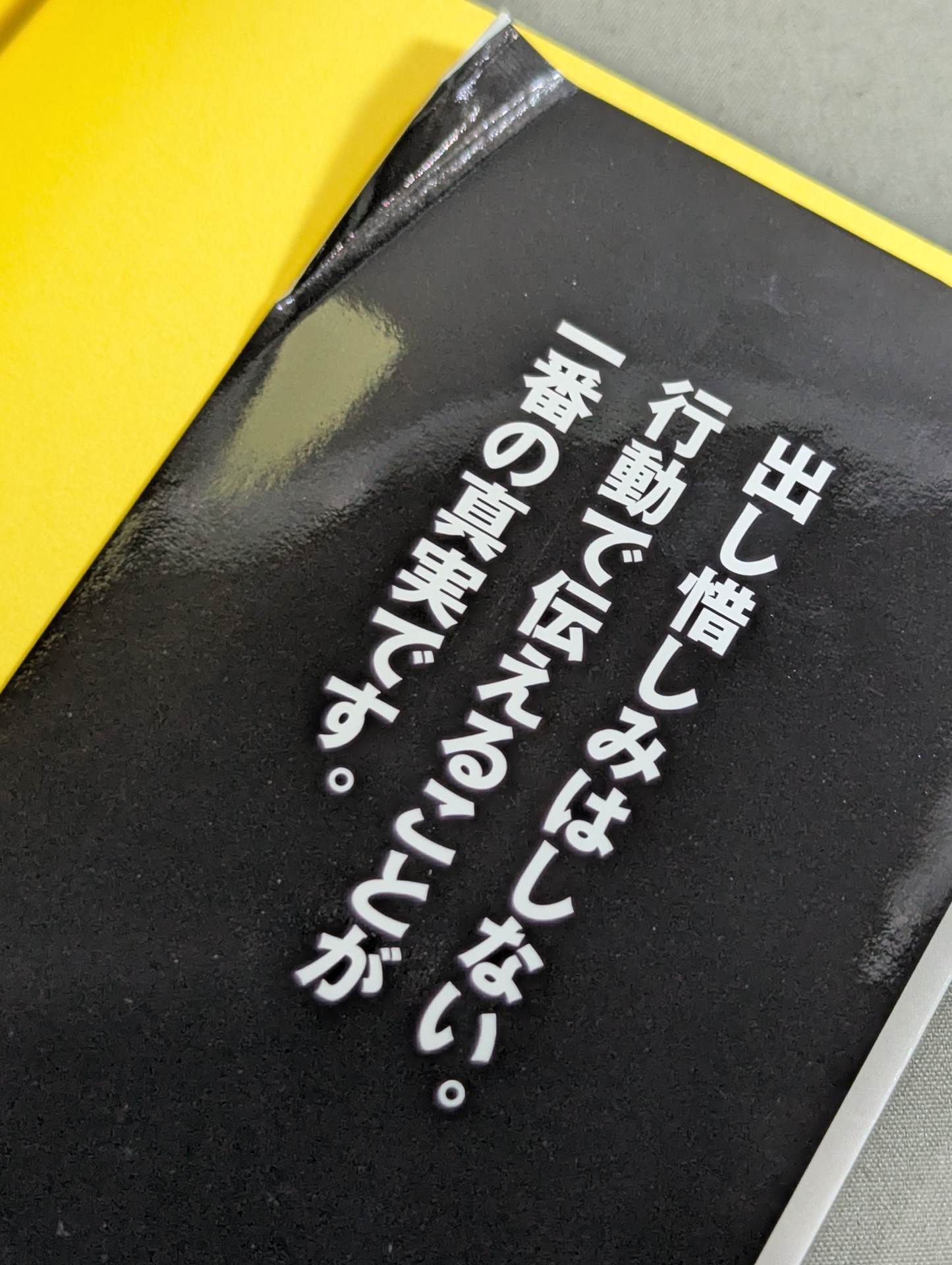 龍魂継承 天龍源一郎対談集