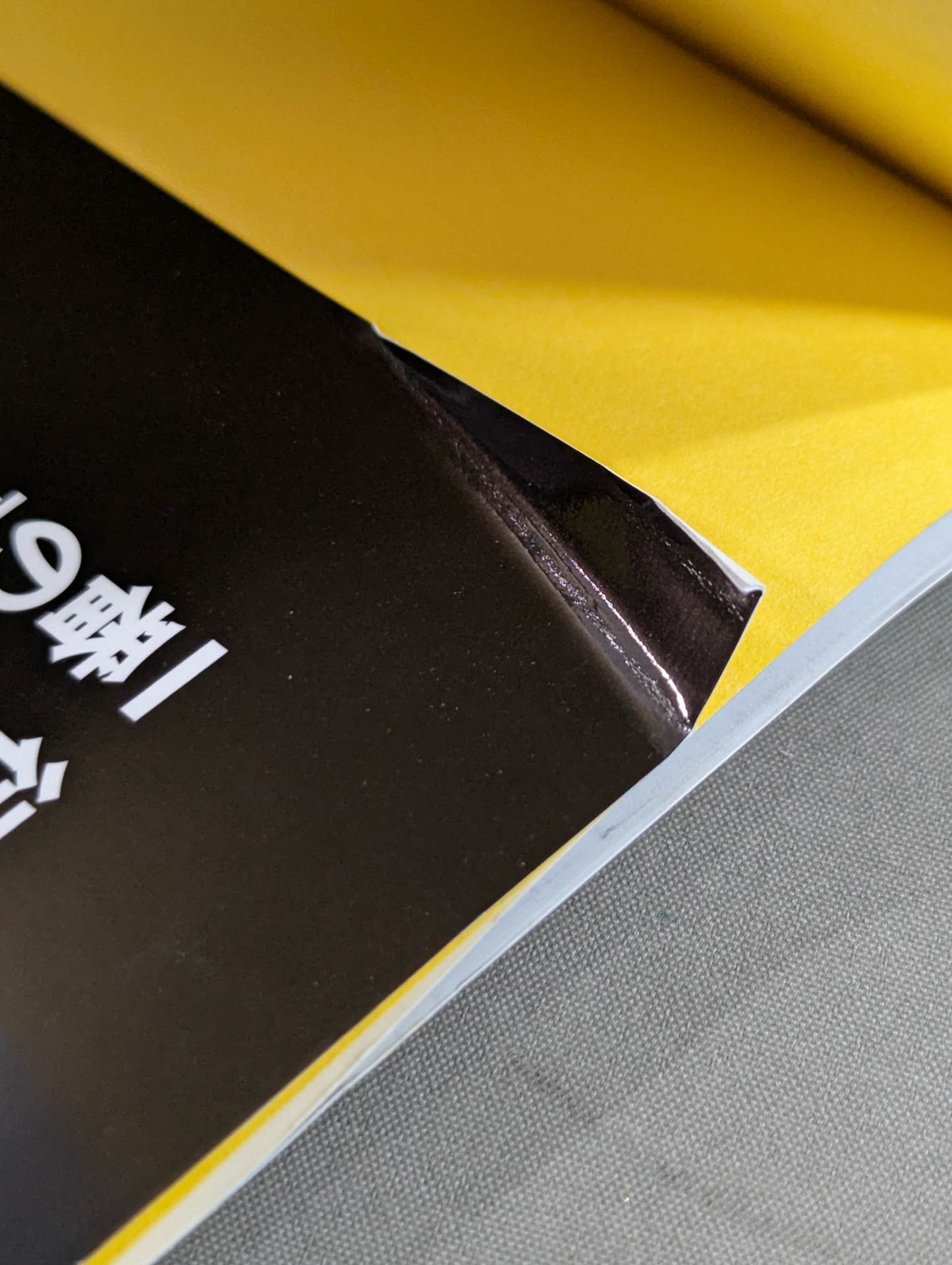 龍魂継承 天龍源一郎対談集