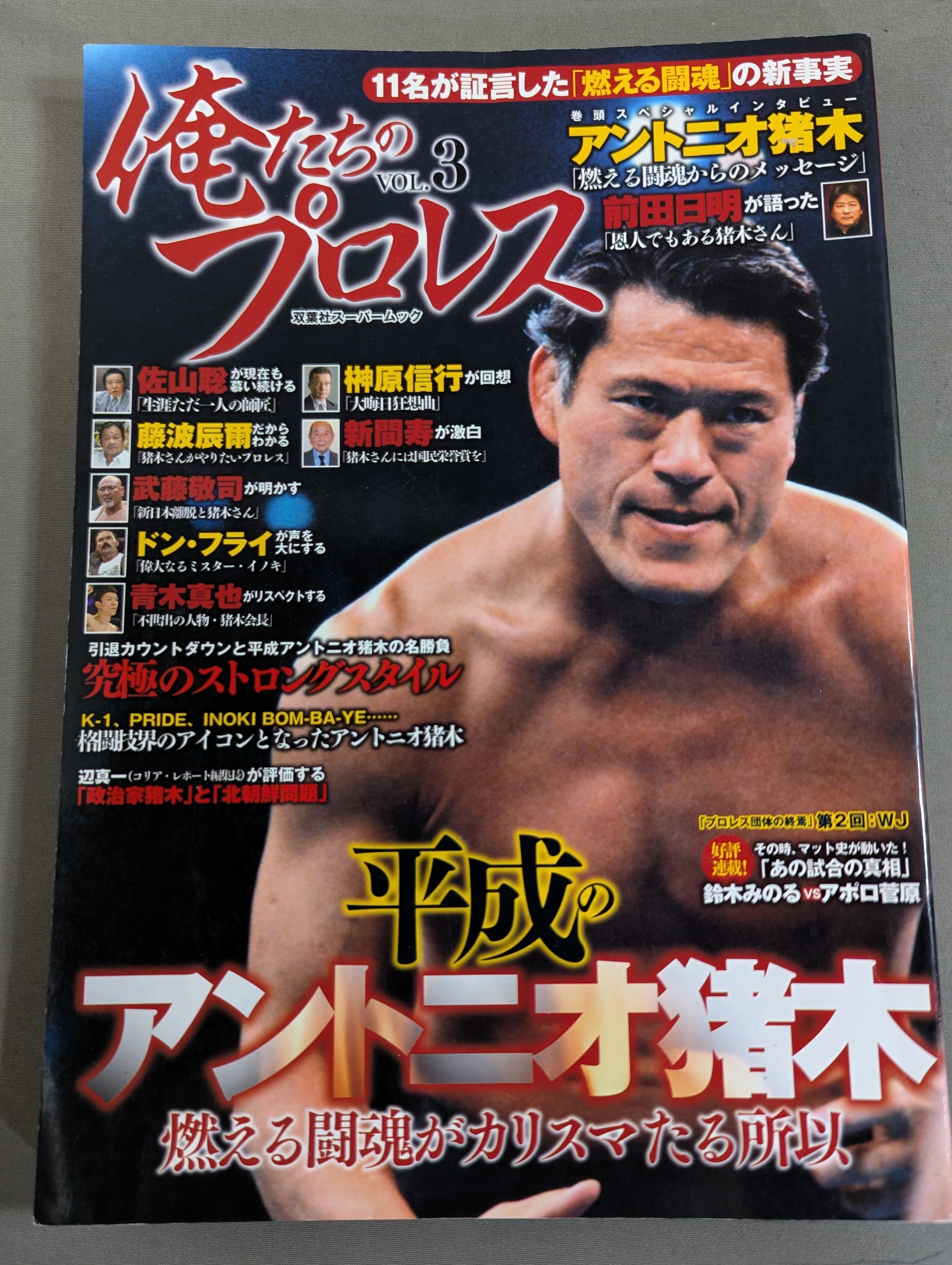 俺たちのプロレス Vol.3 平成のアントニオ猪木 – 闘道館