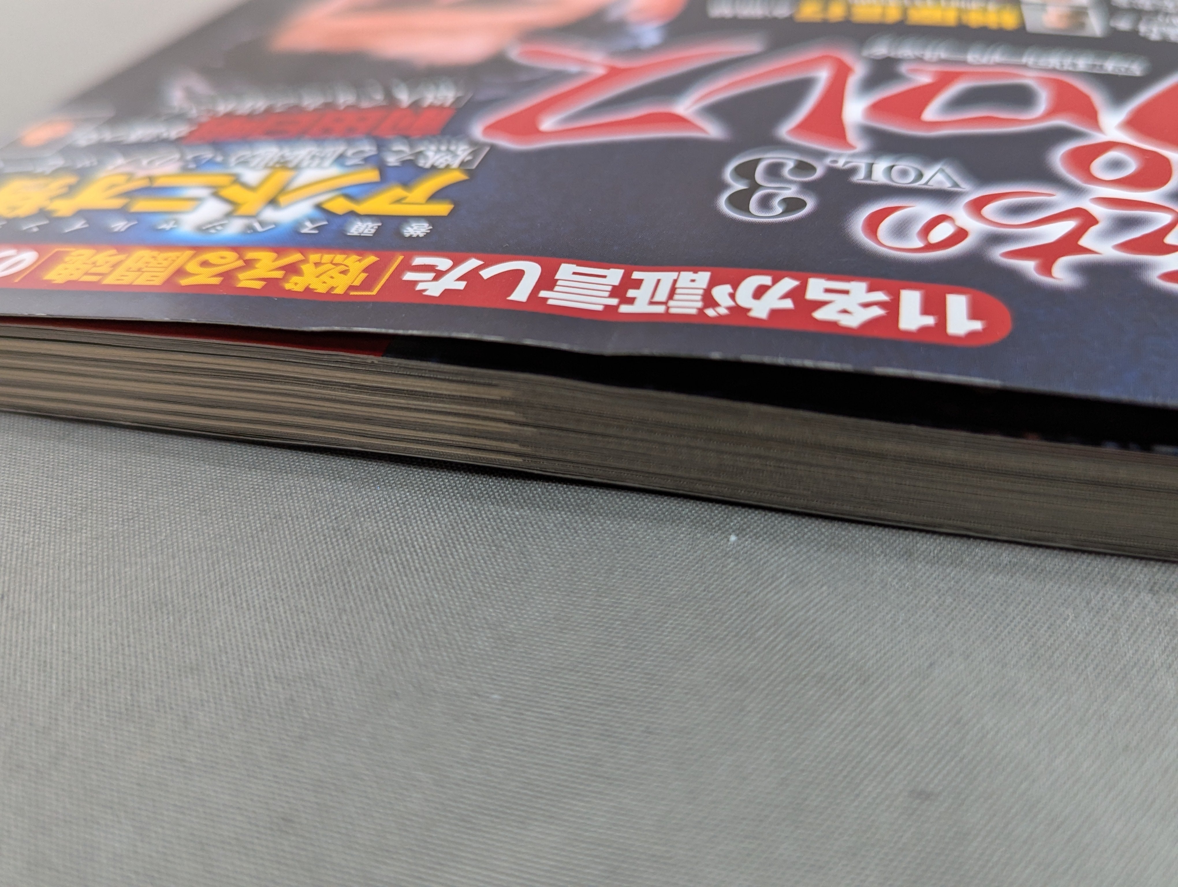 俺たちのプロレス Vol.3 平成のアントニオ猪木 – 闘道館