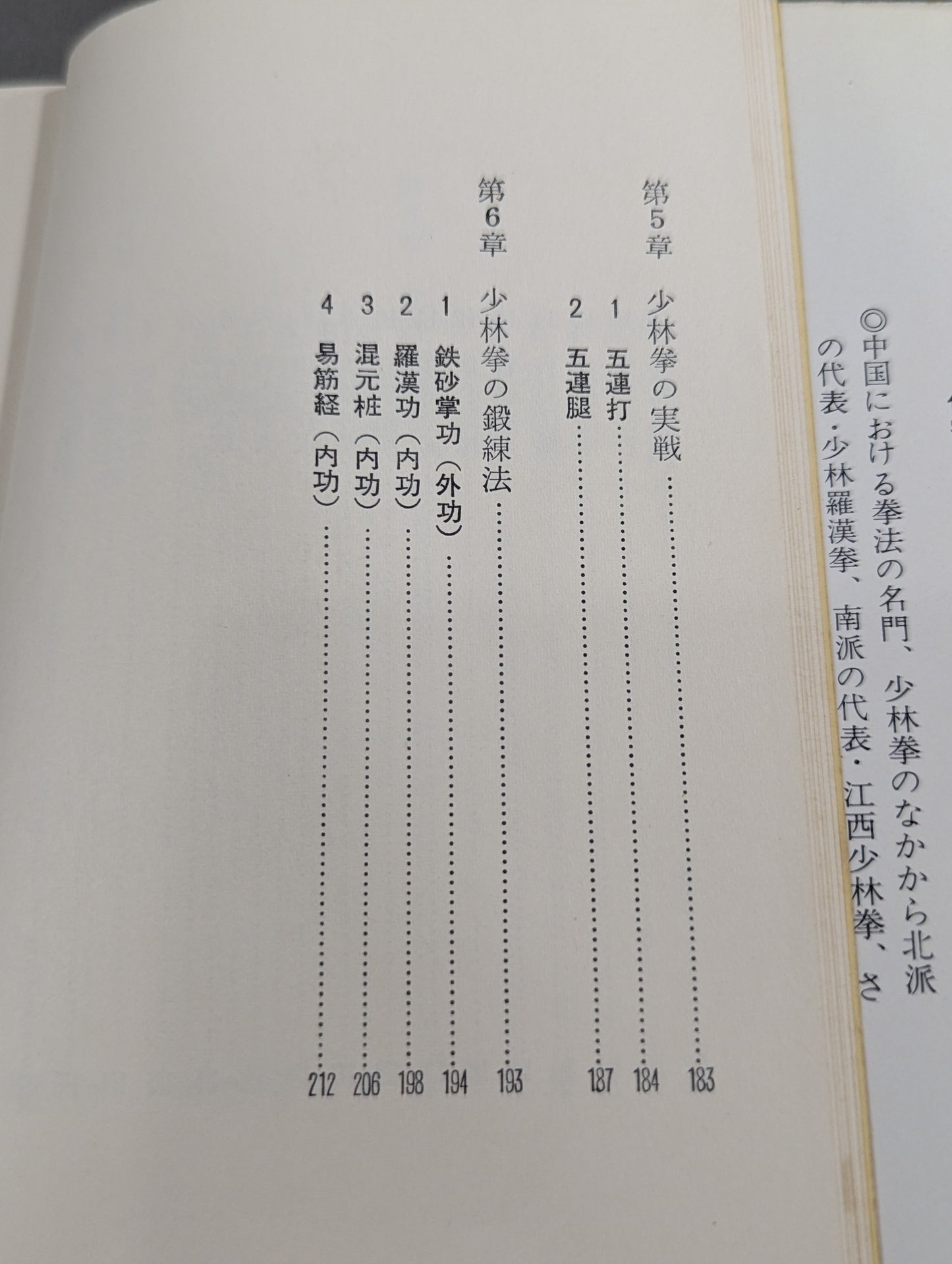 少林拳入門 中国正伝実戦武術の真髄