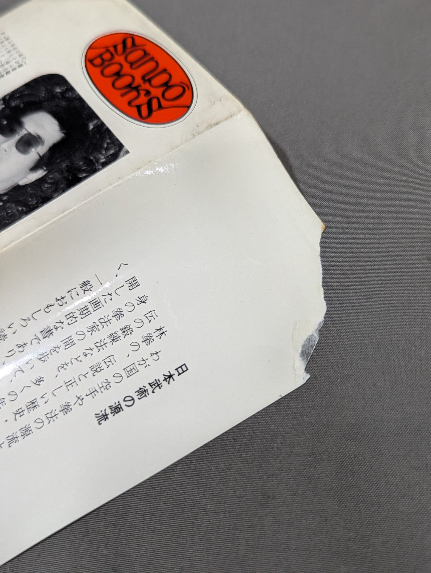 少林拳入門 中国正伝実戦武術の真髄
