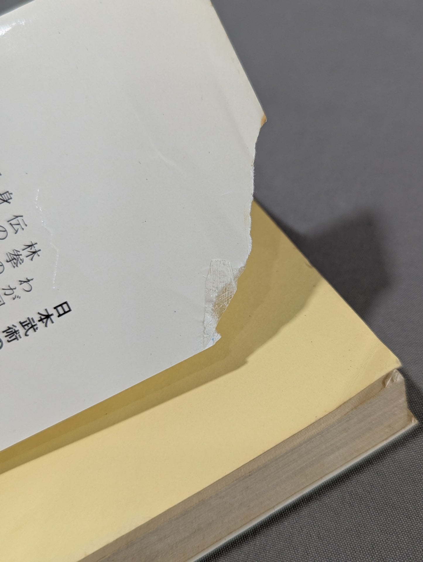 少林拳入門 中国正伝実戦武術の真髄