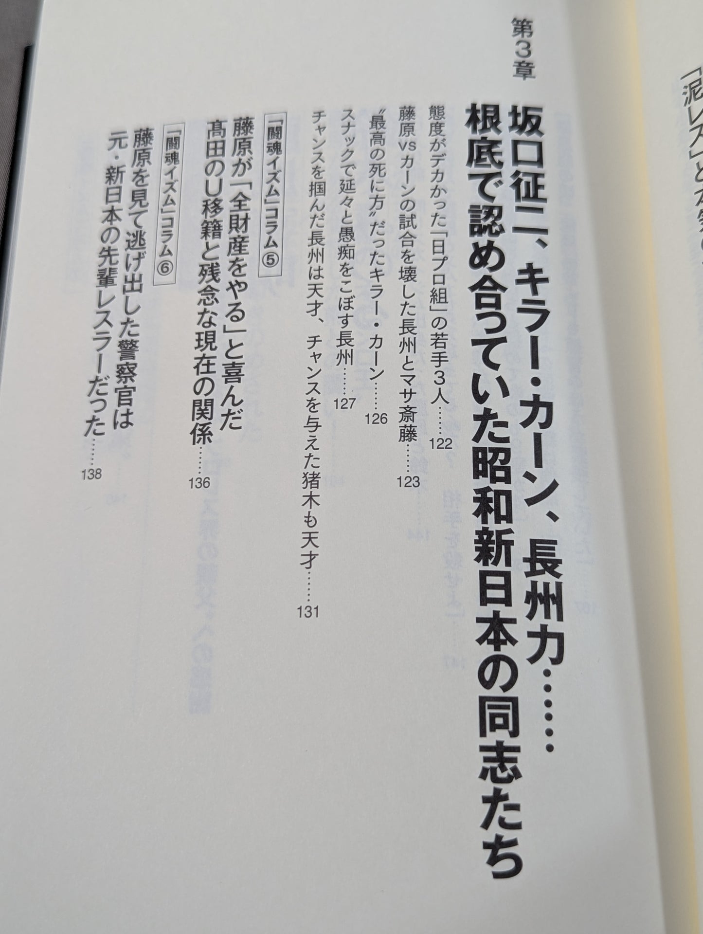 I'll die for Inoki !2 Requiem for the inheritors of "Fighting Spirit-ism"