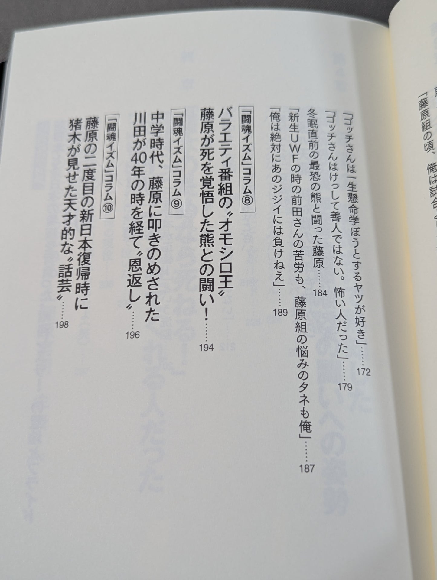 I'll die for Inoki !2 Requiem for the inheritors of "Fighting Spirit-ism"