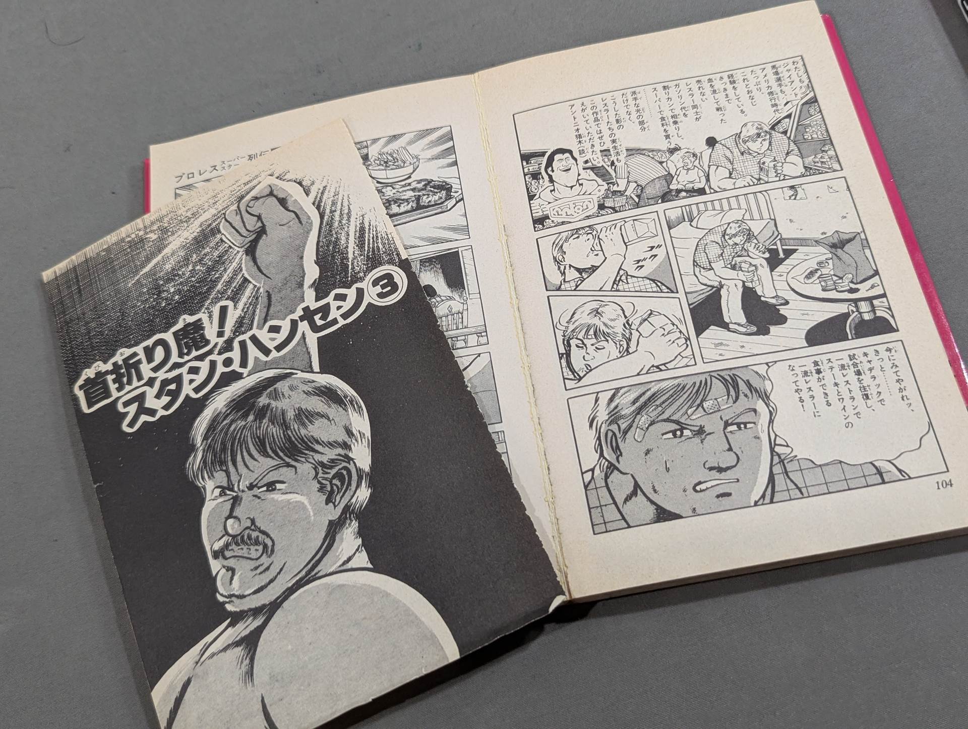 全17巻セット】プロレス スーパースター列伝 – 闘道館