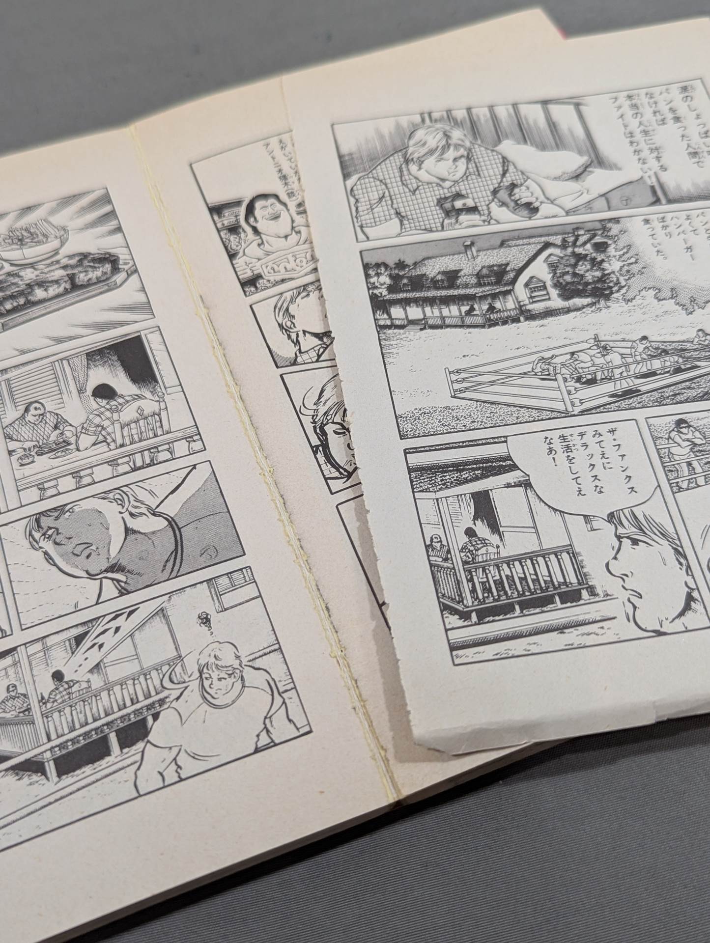 【全17巻セット】プロレス スーパースター列伝