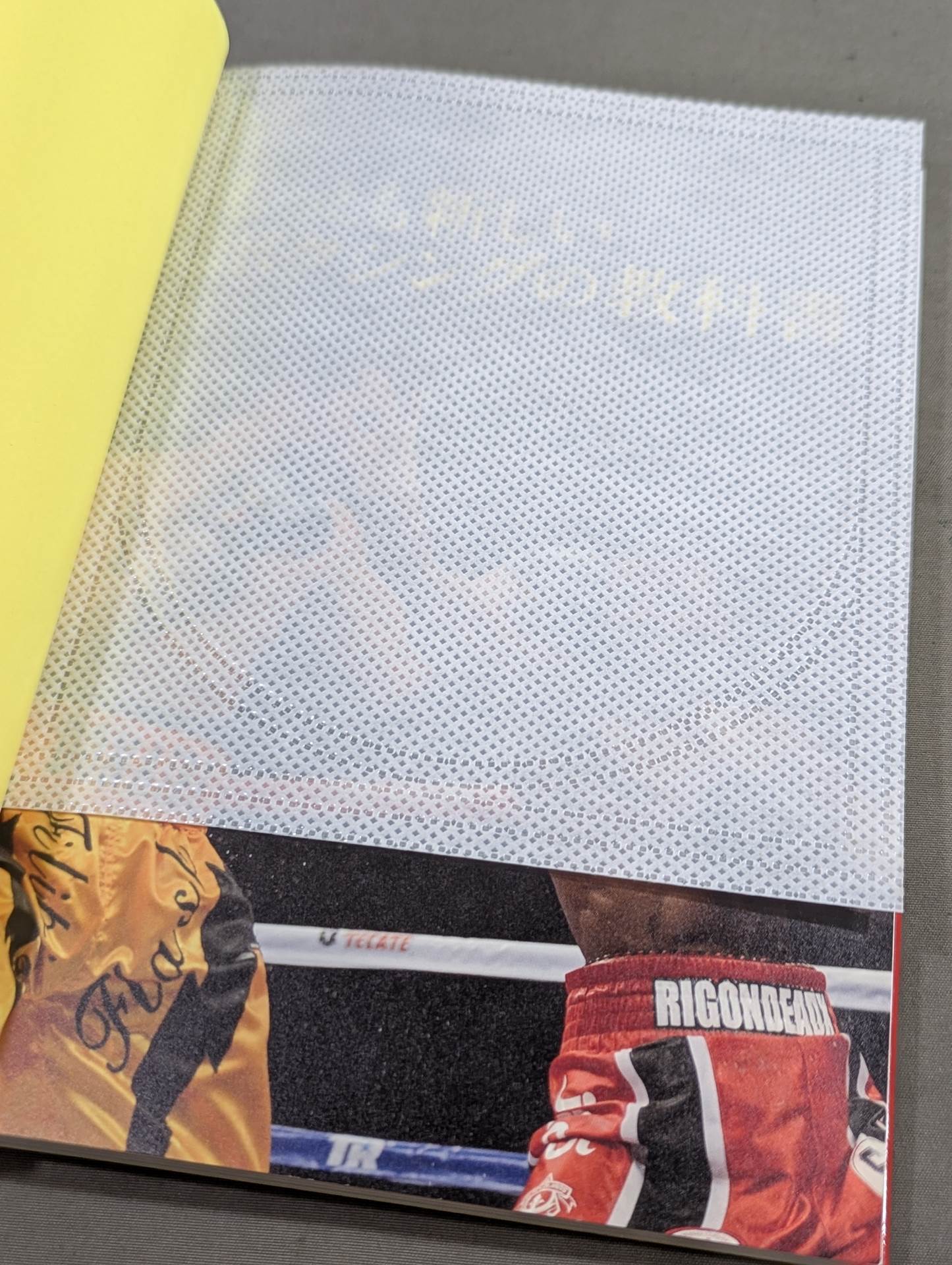 The newest boxing textbook