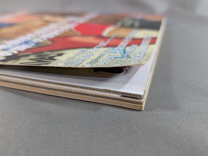 [With DVD] PRIDE Official BOOK&DVD PRIDE Gekitou Festival 2005
