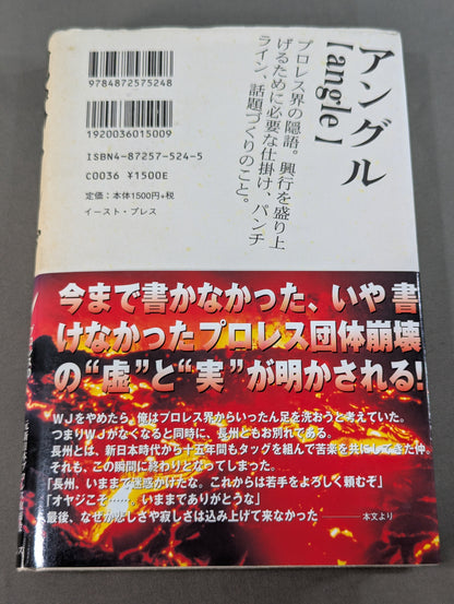 Angle of Hell: Confessions of a Man Who Tasted the Bottom of Pro Wrestling