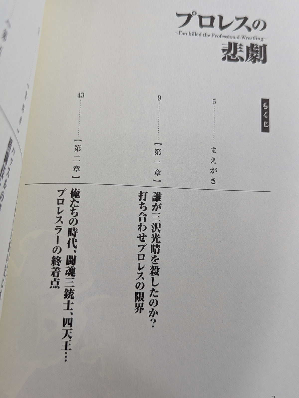 プロレスの悲劇  Fan killed the Professional‐Wrestling