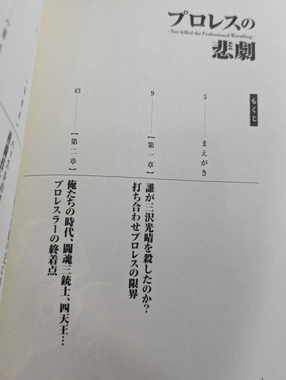プロレスの悲劇  Fan killed the Professional‐Wrestling