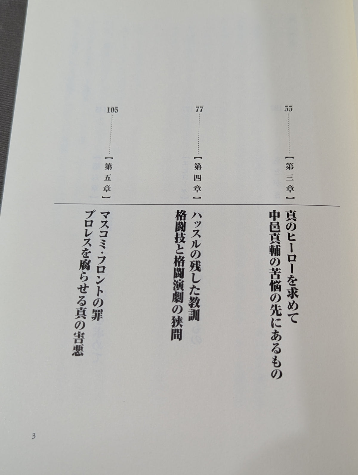 プロレスの悲劇  Fan killed the Professional‐Wrestling