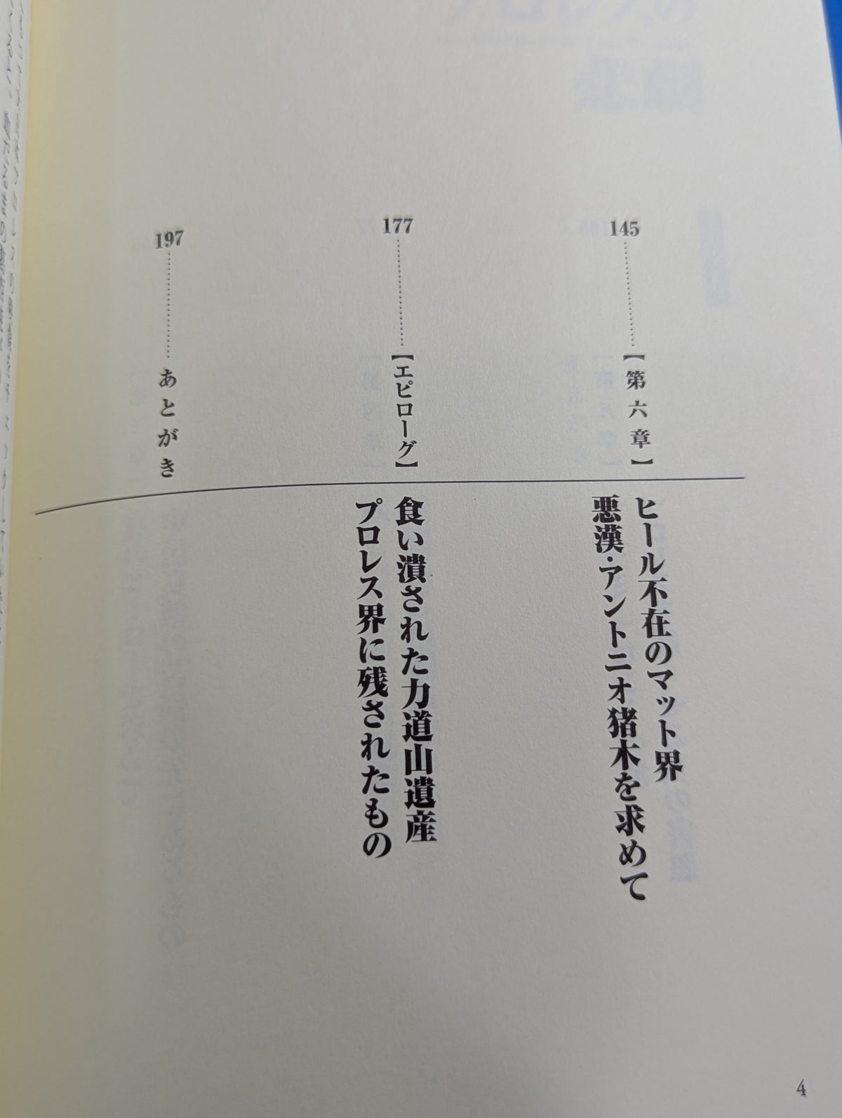 プロレスの悲劇  Fan killed the Professional‐Wrestling