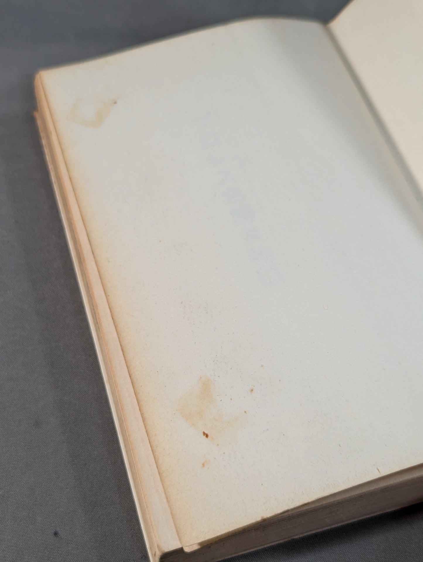 Pro Wrestling Legend