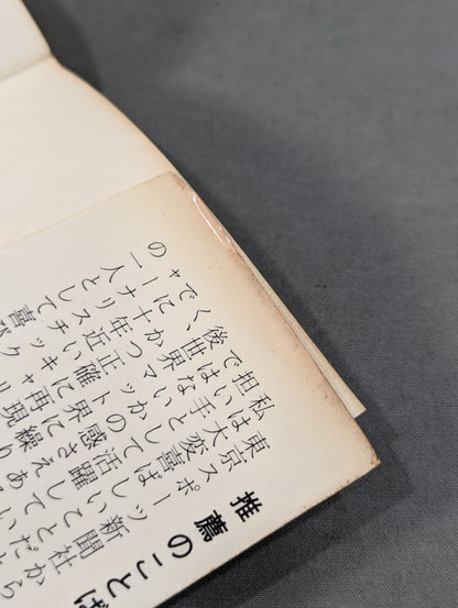 Pro Wrestling Legend