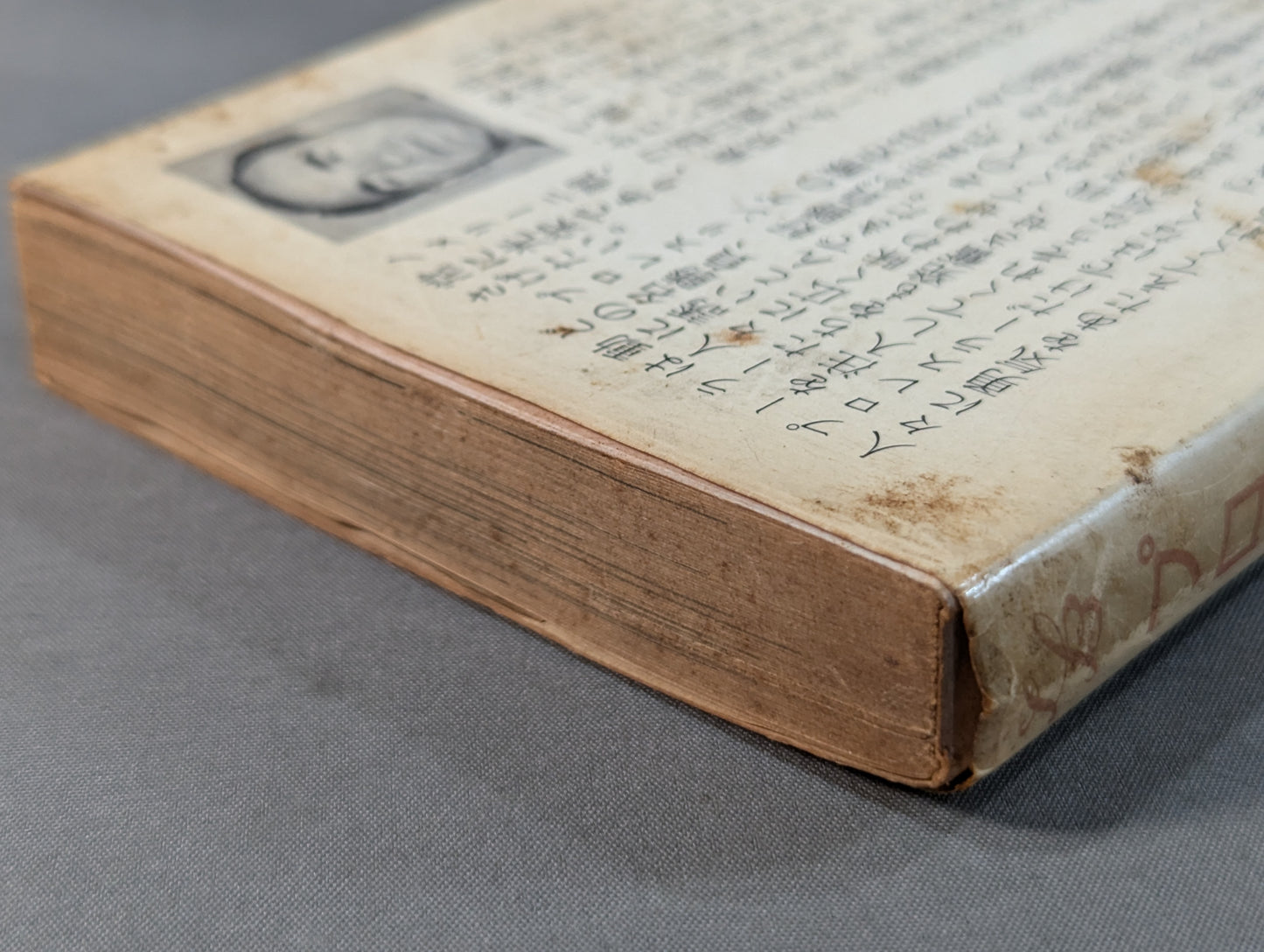 Pro Wrestling Legend