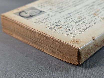 Pro Wrestling Legend