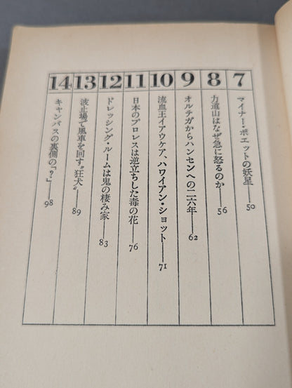 ダーティ・ヒロイズム宣言 プロレスの味方､｢悪役｣を語りき