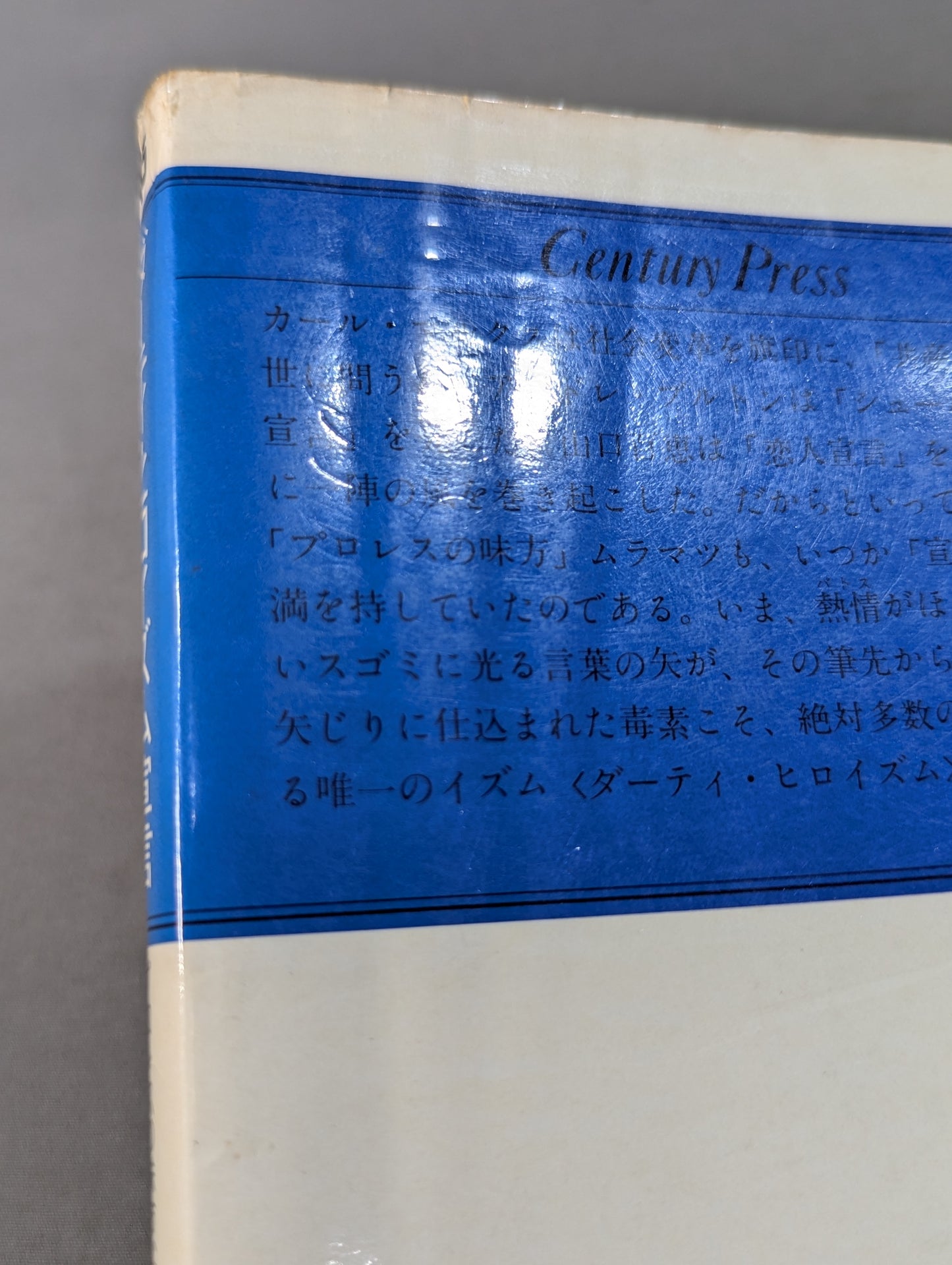 ダーティ・ヒロイズム宣言 プロレスの味方､｢悪役｣を語りき