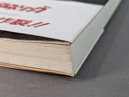 Kero's Pro Wrestling  Labu Susoorii New Japan Pro Wrestling  Travel Diary