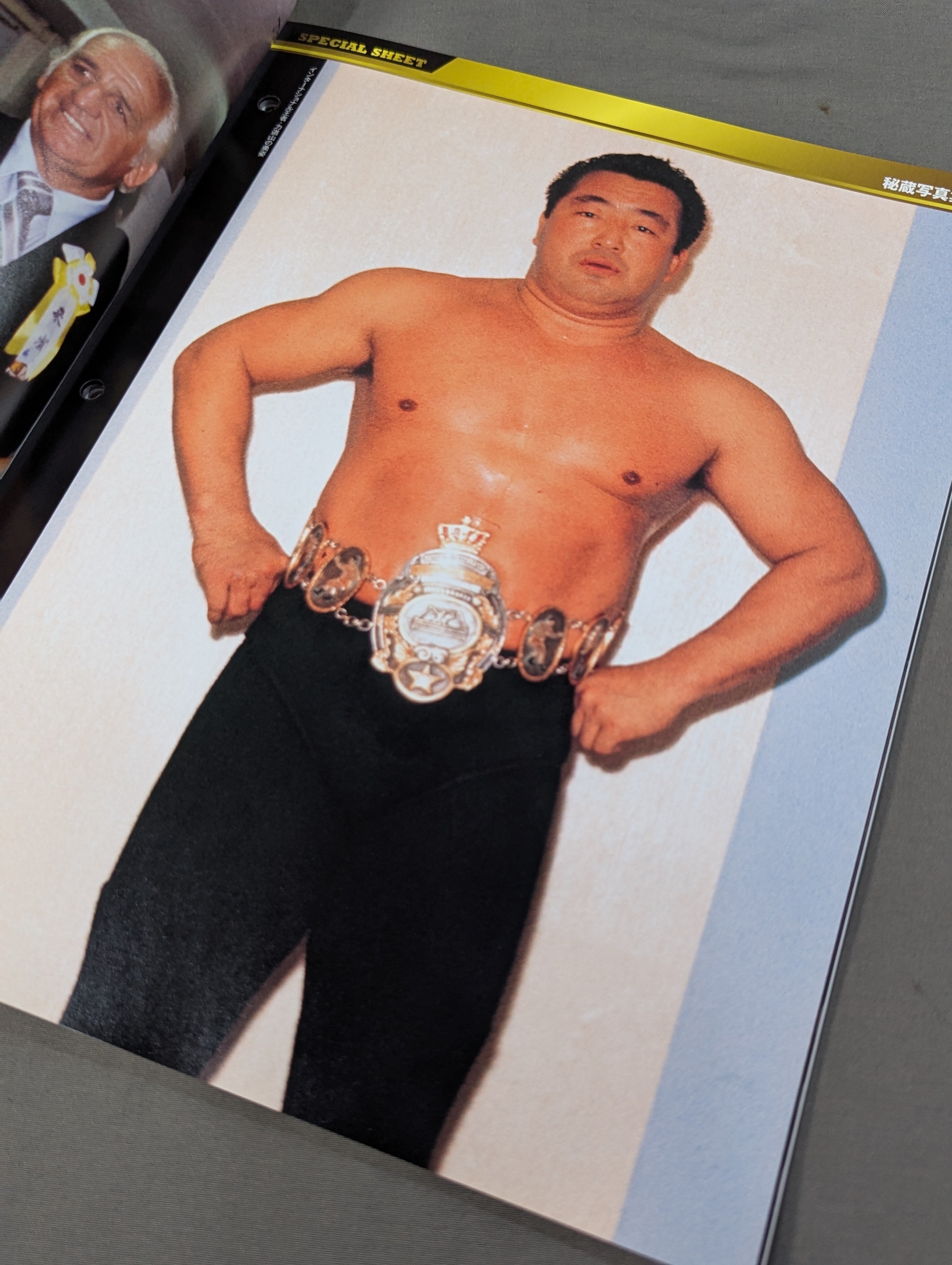 非売品 第2期定期購読特典】日本プロレス激闘60年史スペシャルシート