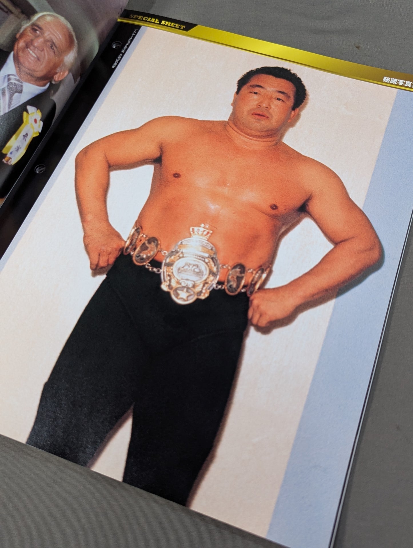 [not sold in stores 2nd Subscription Bonus] Japan Pro Wrestling 60-Year Fierce Battle Special Sheet