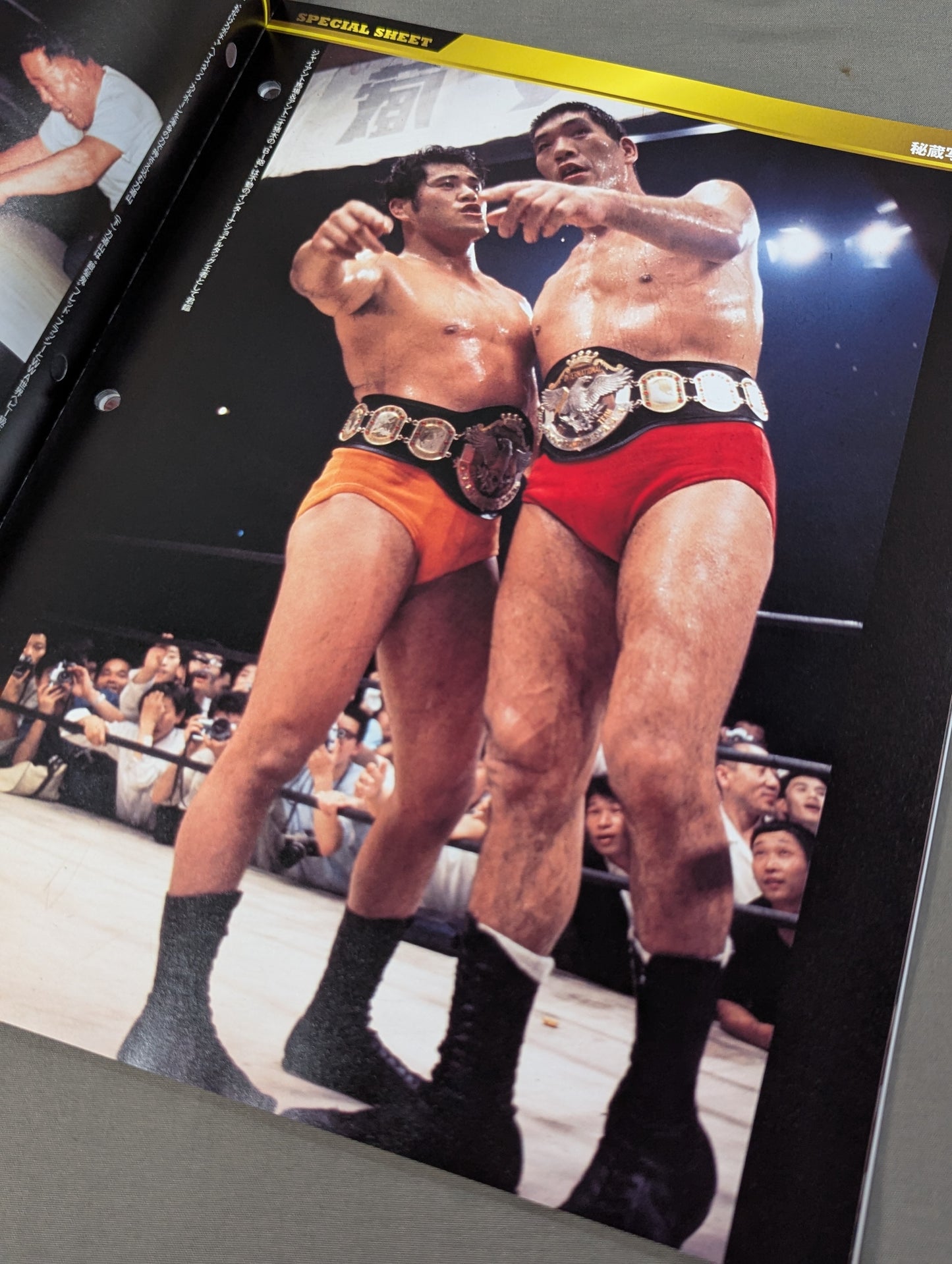 [not sold in stores 2nd Subscription Bonus] Japan Pro Wrestling 60-Year Fierce Battle Special Sheet