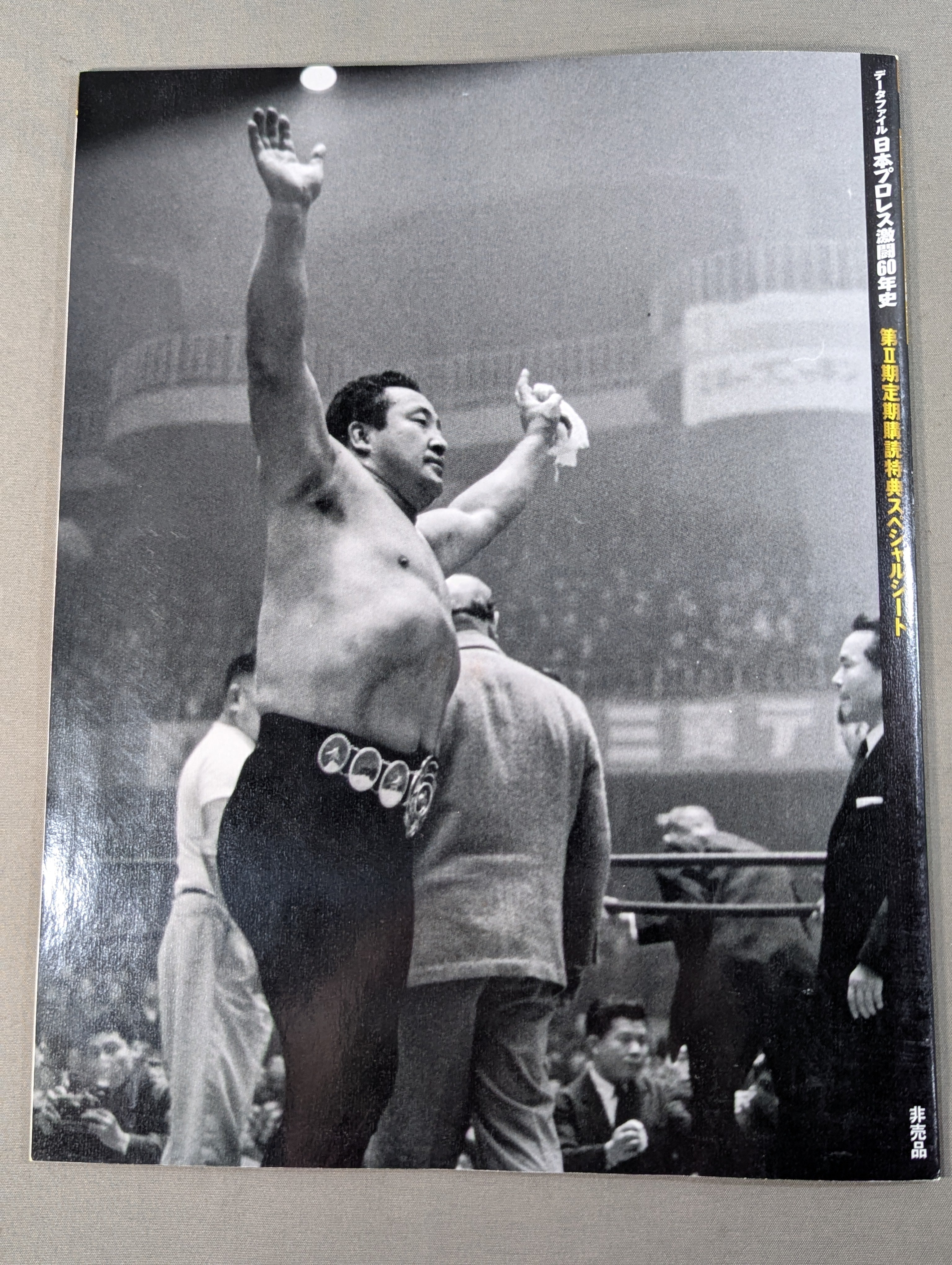 非売品 第2期定期購読特典】日本プロレス激闘60年史スペシャルシート
