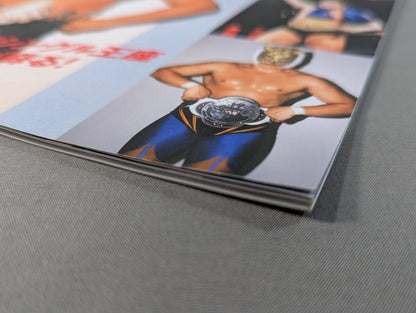 [not sold in stores 2nd Subscription Bonus] Japan Pro Wrestling 60-Year Fierce Battle Special Sheet