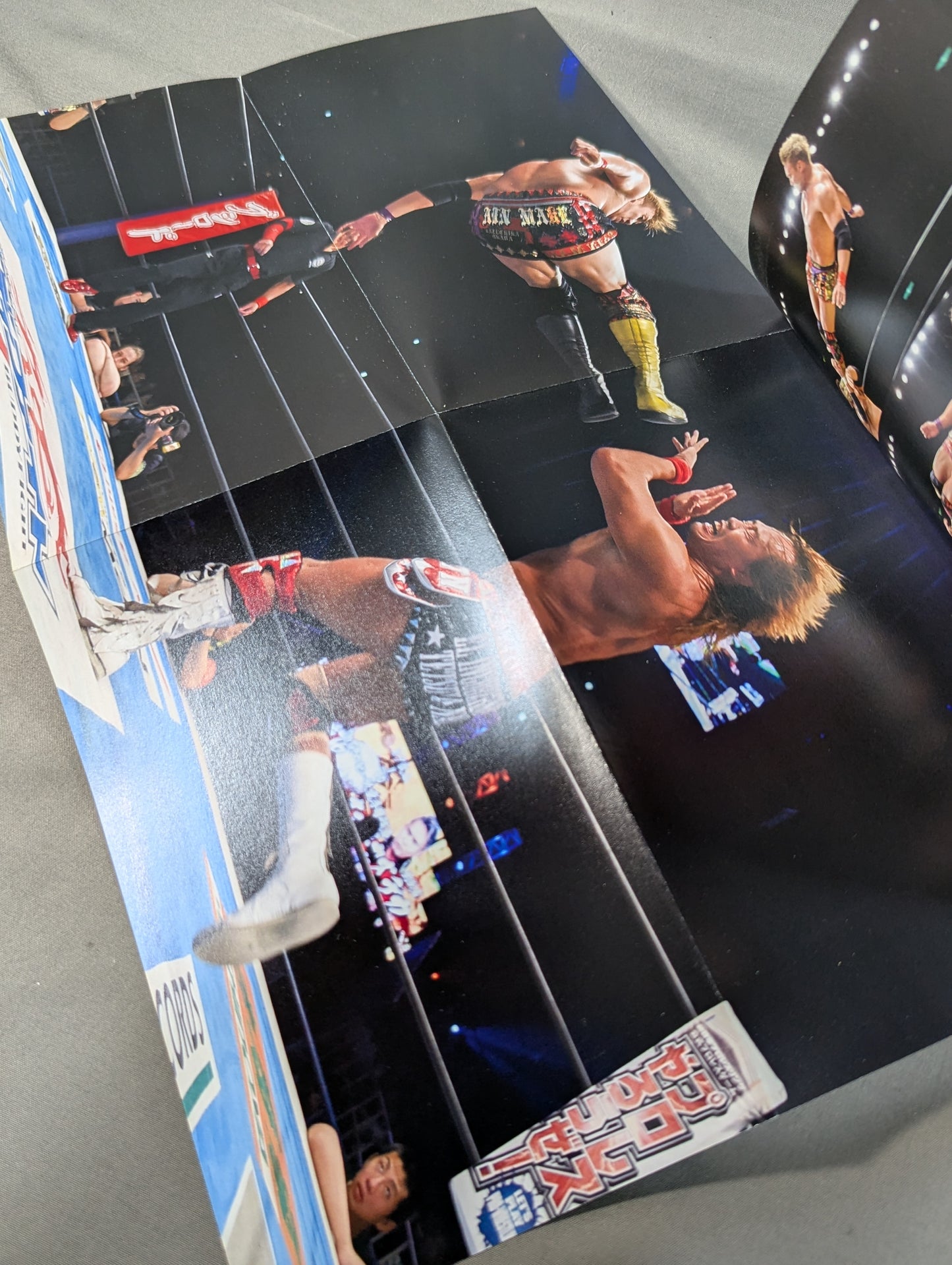 別冊カドカワ 総力特集 新日本プロレス2016→2017